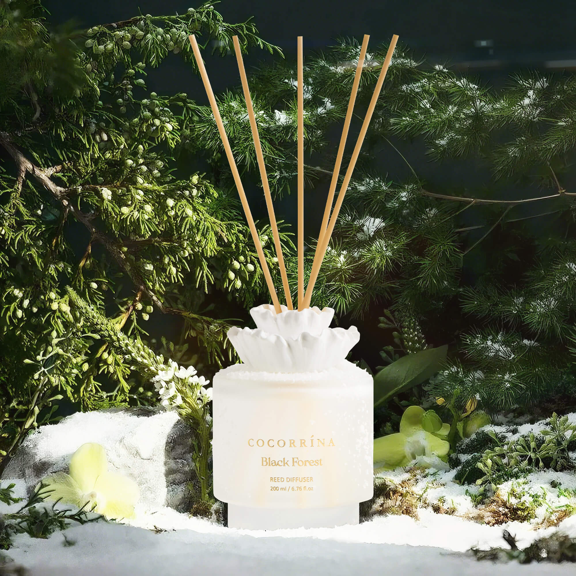 COCORRÍNA Gypsum Flower Black Forest Reed Diffuser