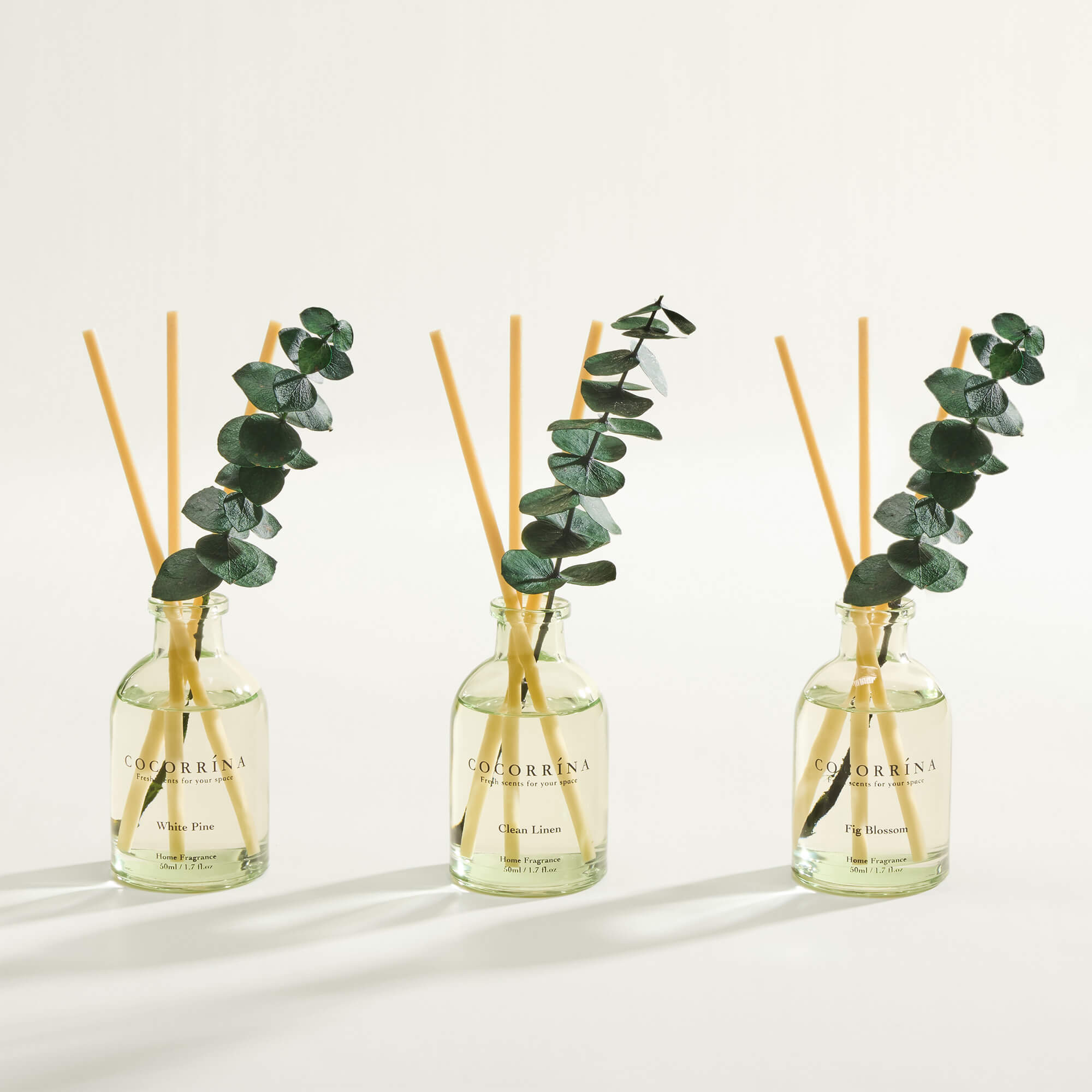 COCORRÍNA Eucalyptus Reed Diffuser Set of 3
