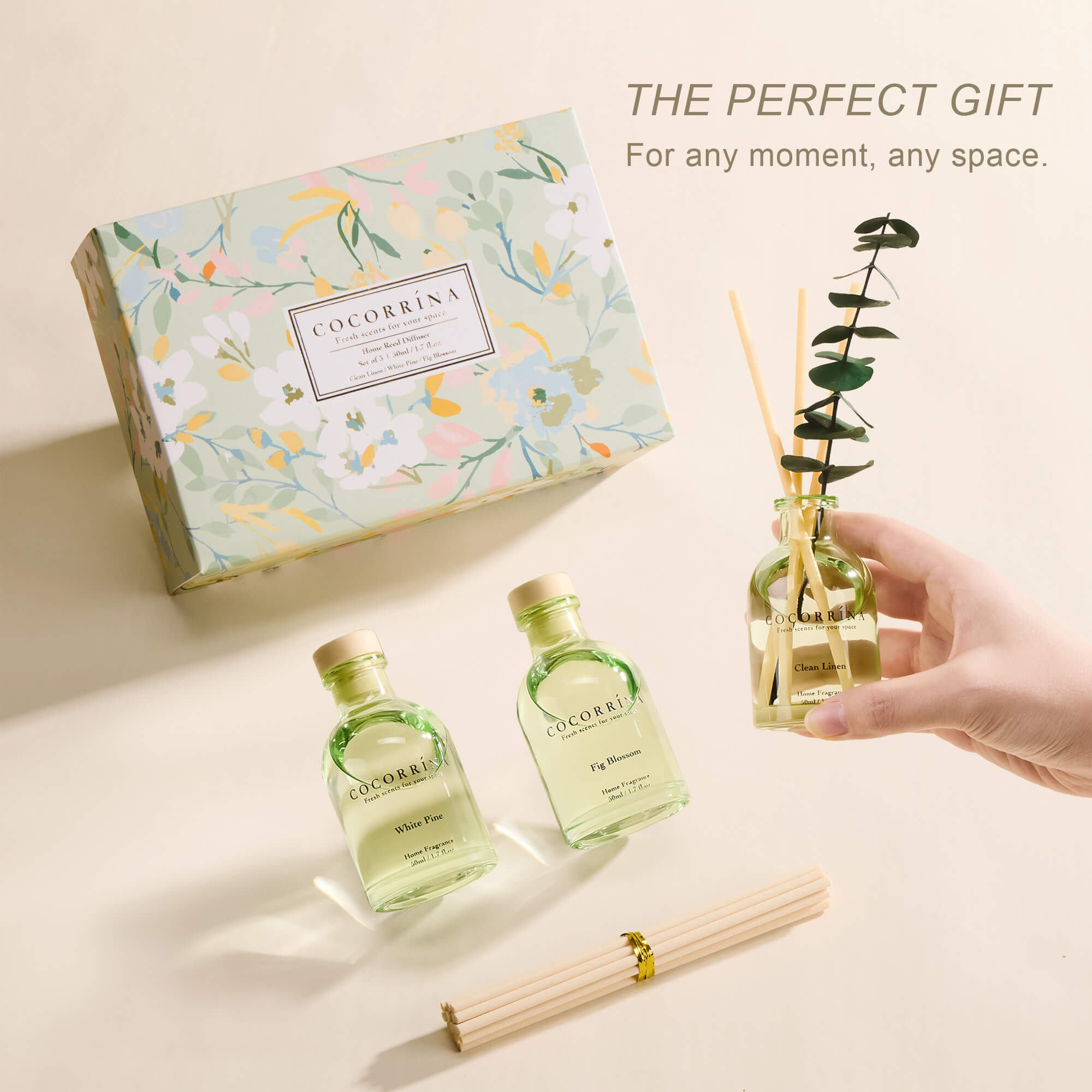 COCORRÍNA Eucalyptus Reed Diffuser Set of 3