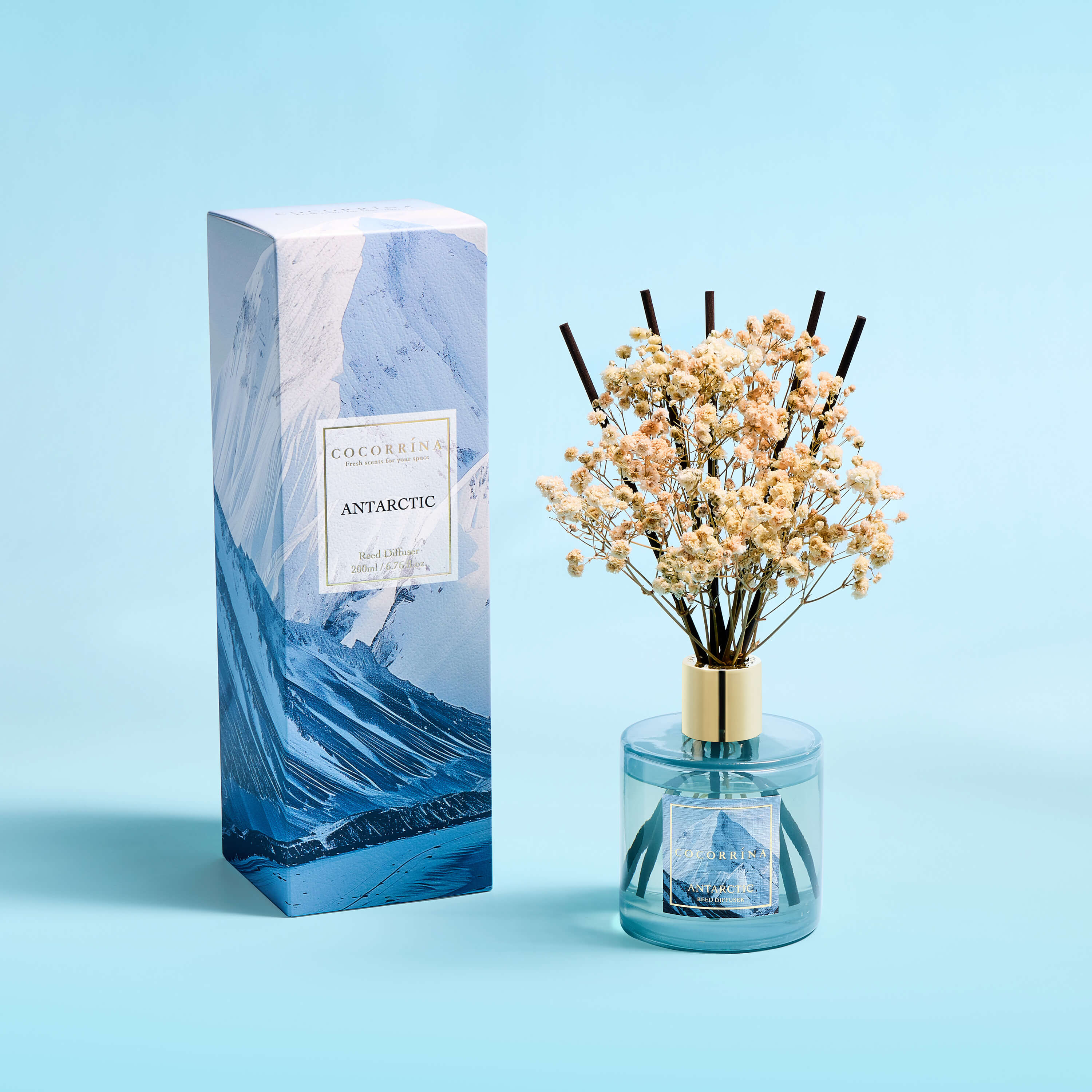 COCORRÍNA Antarctica Reed Diffuser Set