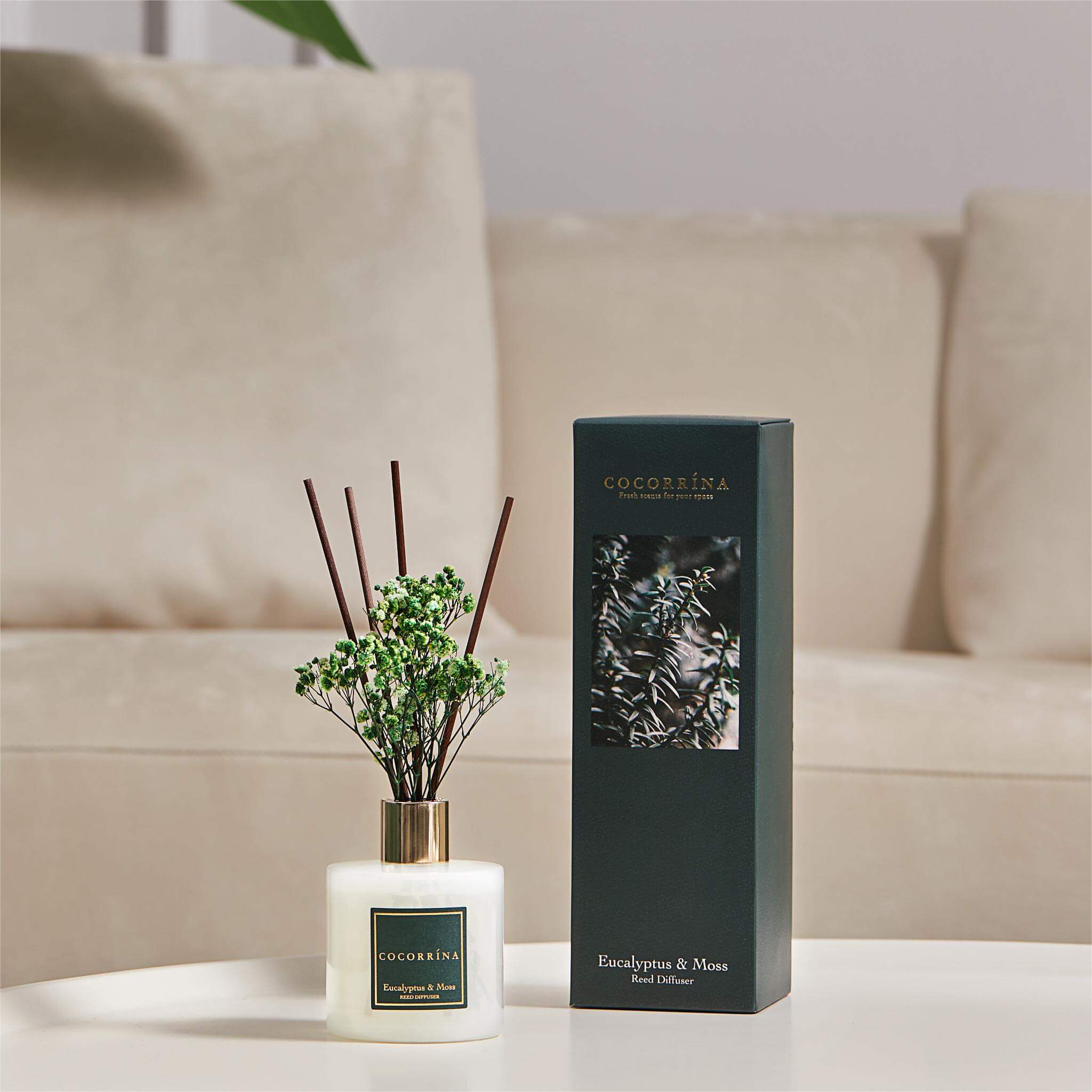 COCORRÍNA Eucalyptus Moss Reed Diffuser Set