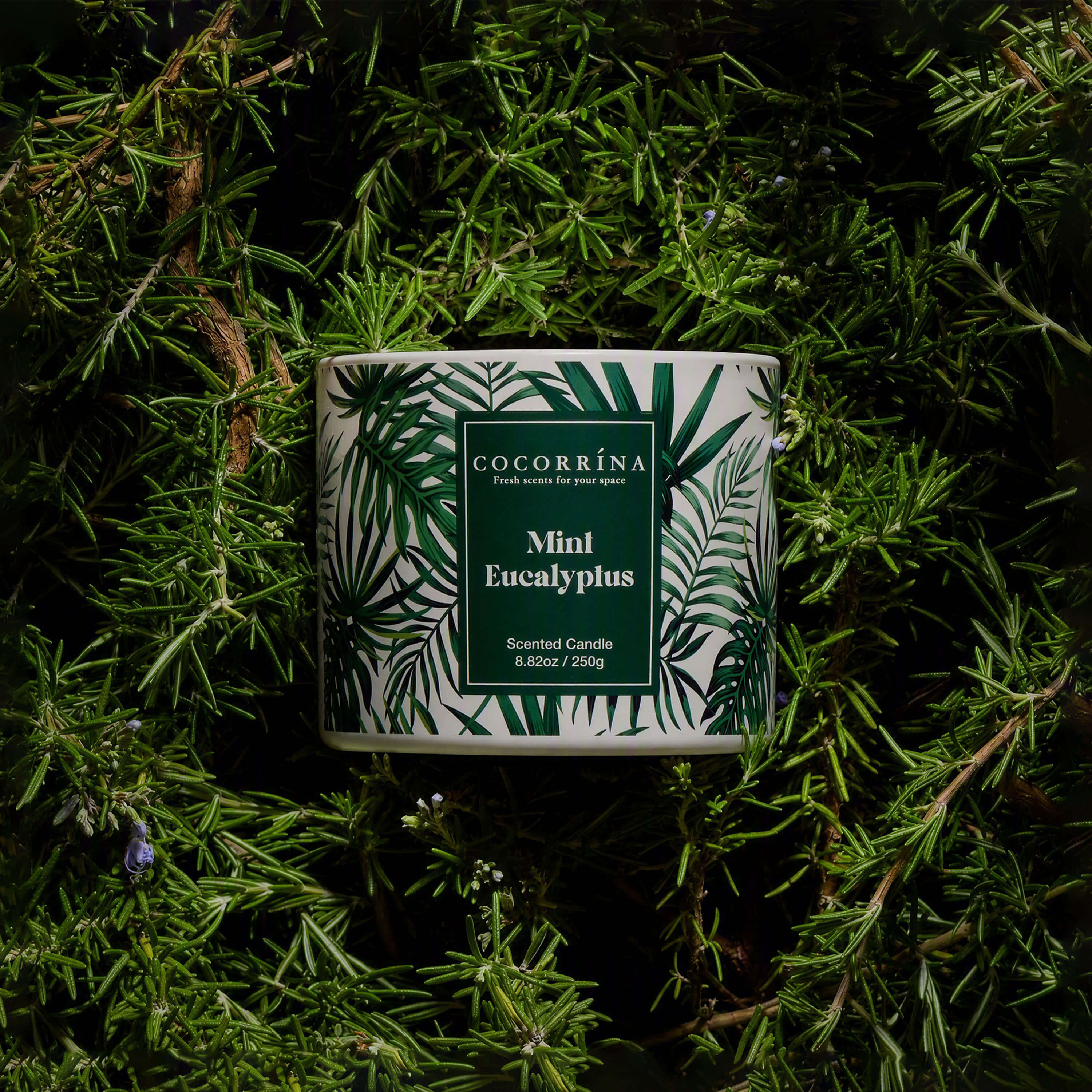 COCORRÍNA 8.8 oz Mint Eucalyptus Candle(Pre-Order)