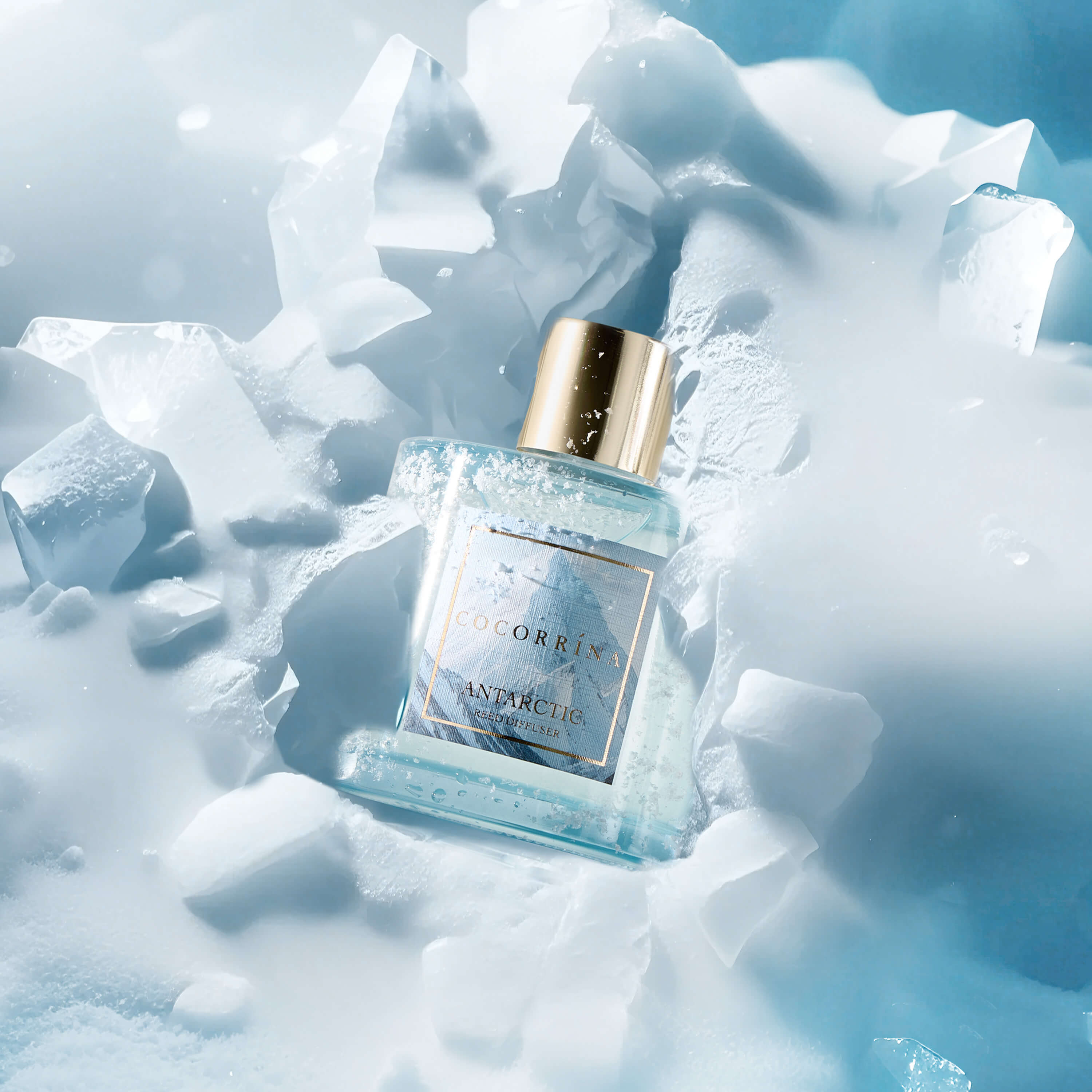 COCORRÍNA Antarctica Reed Diffuser Set