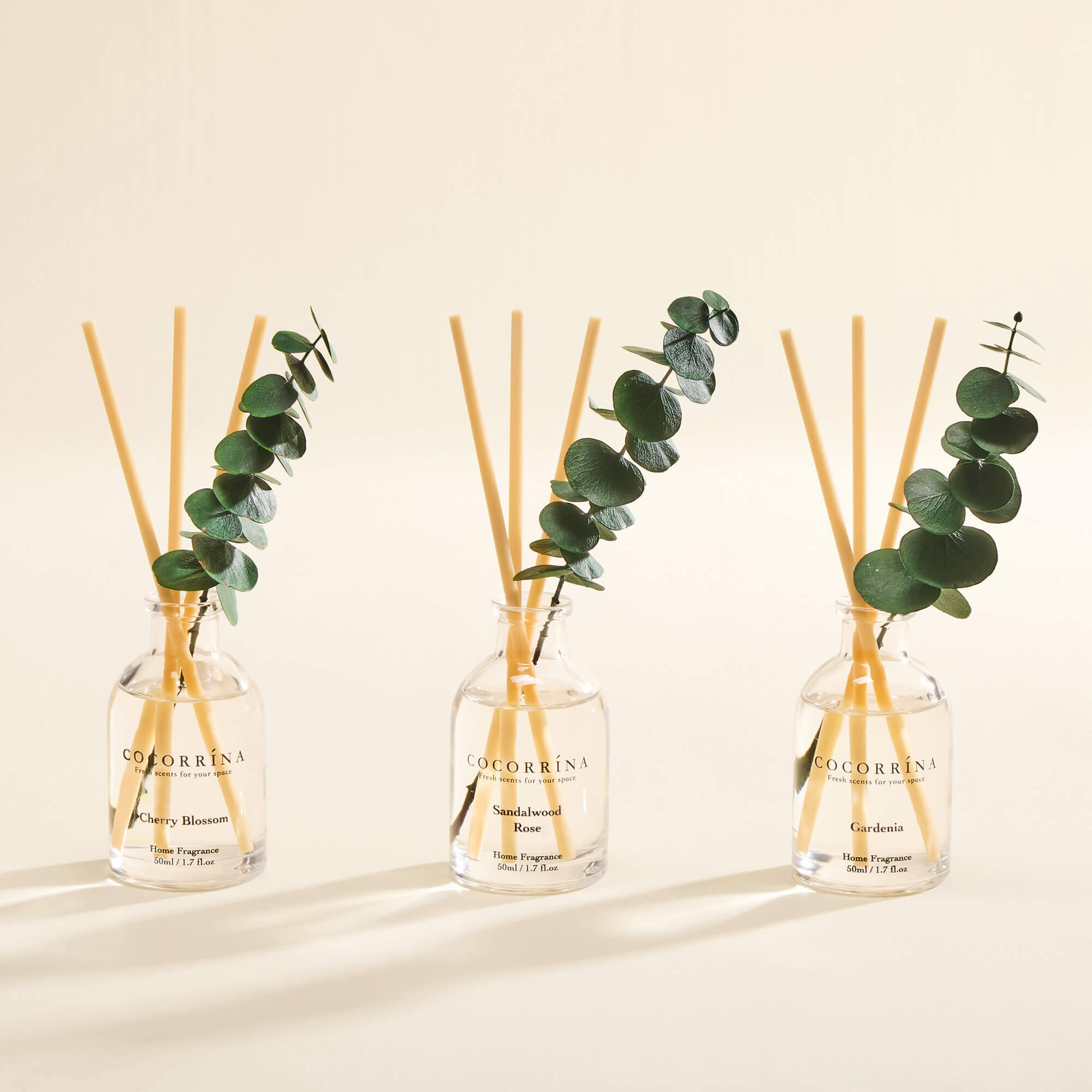 COCORRÍNA Eucalyptus Reed Diffuser Set of 3