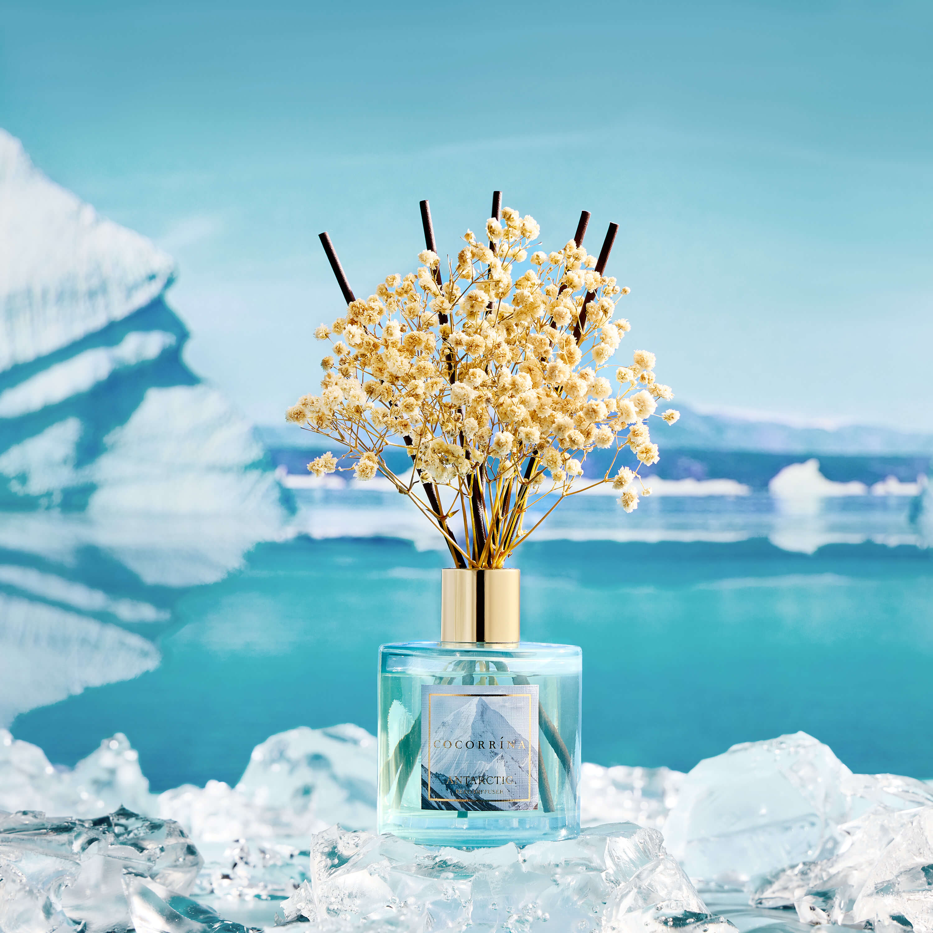 COCORRÍNA Antarctica Reed Diffuser Set