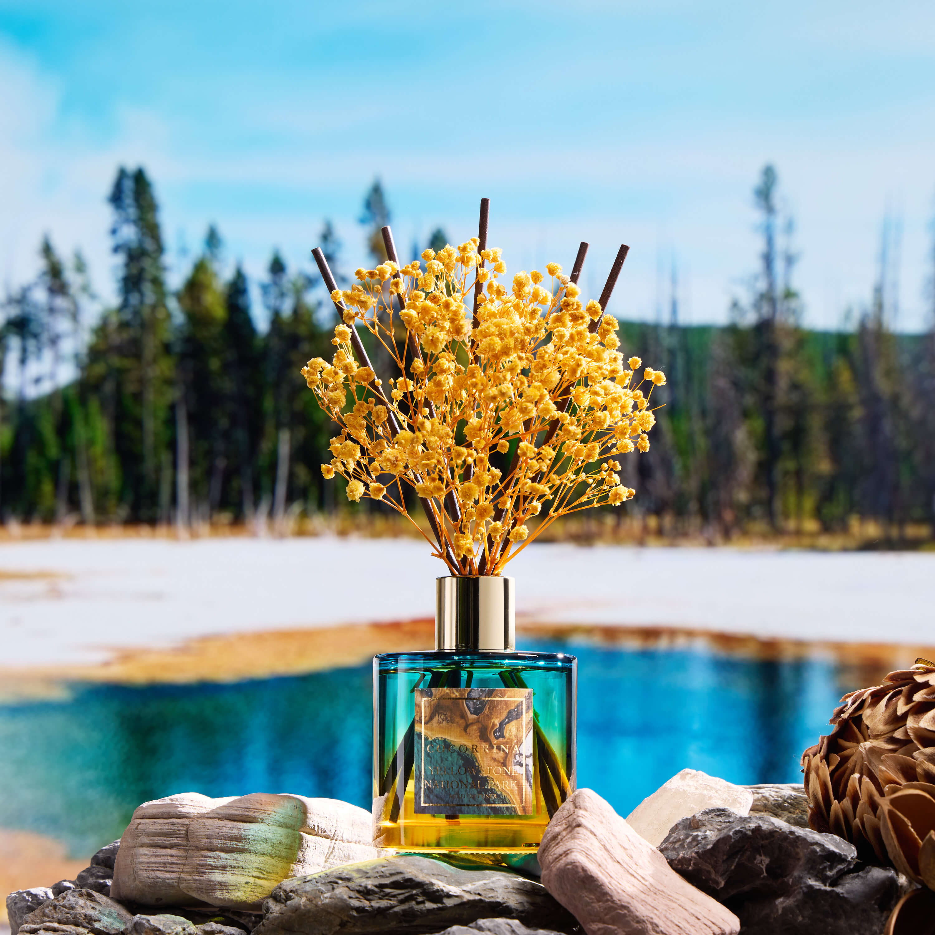 COCORRÍNA The Yellowstone Reed Diffuser Set