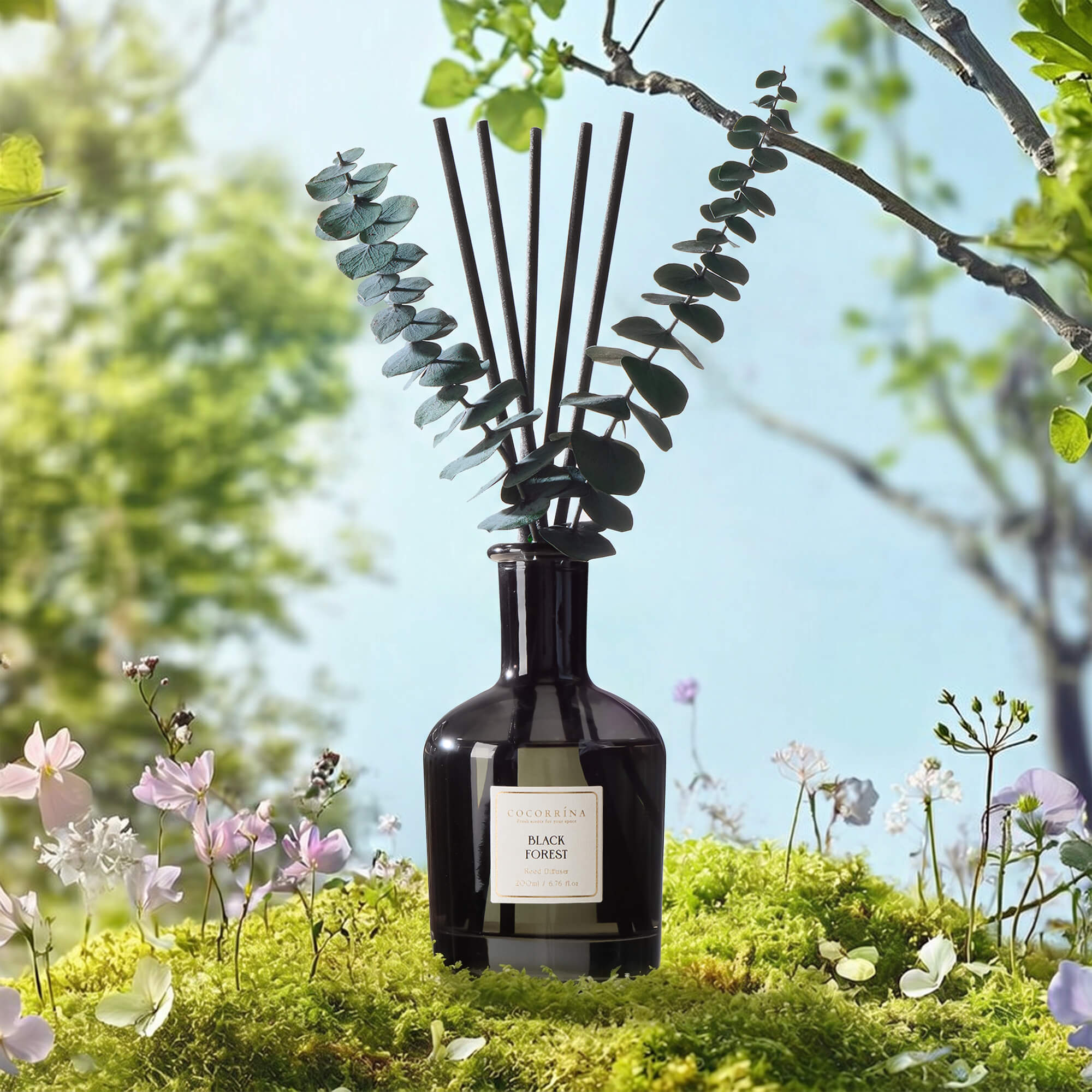 COCORRÍNA Black Forest Reed Diffuser Set