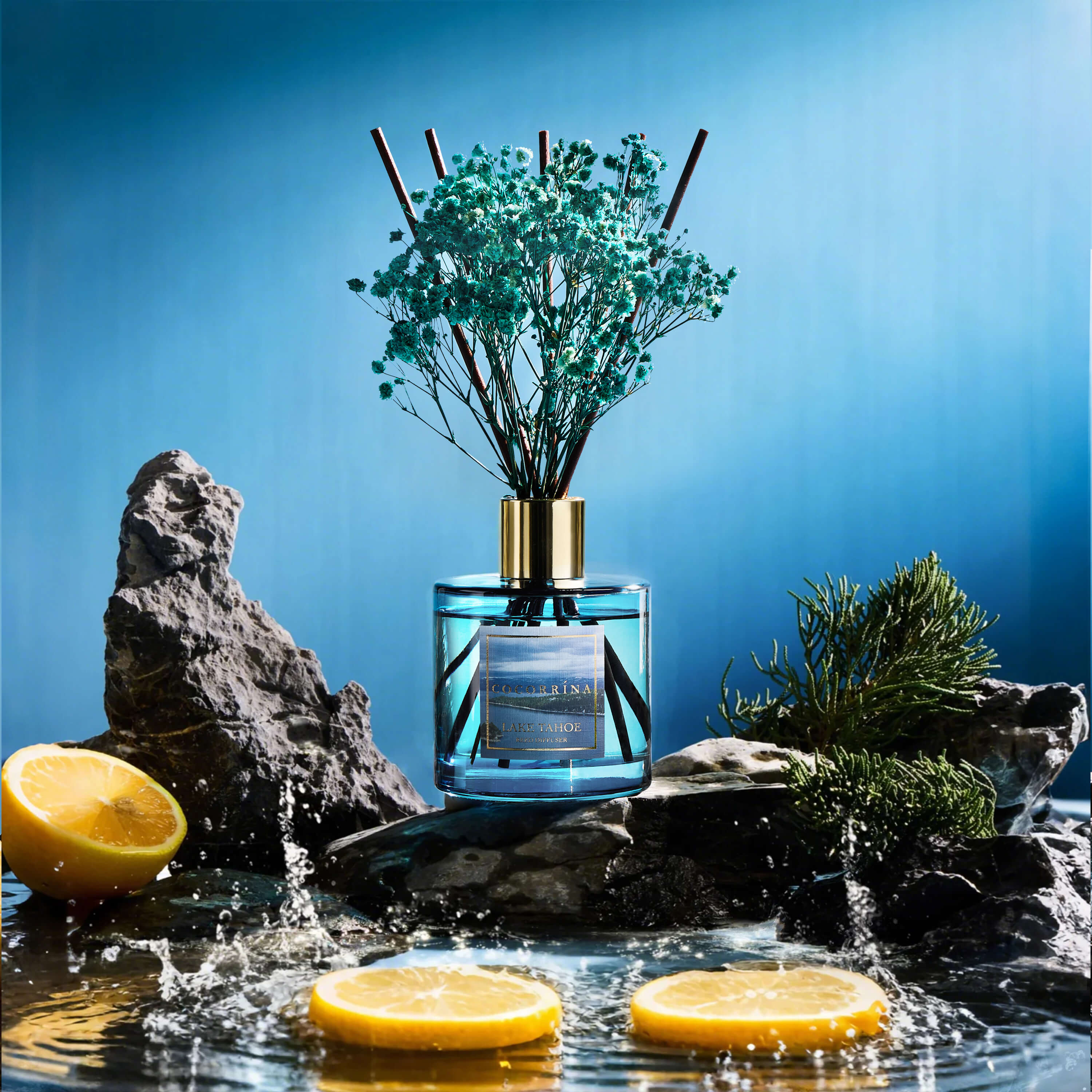 COCORRÍNA The Lake Tahoe Reed Diffuser Set
