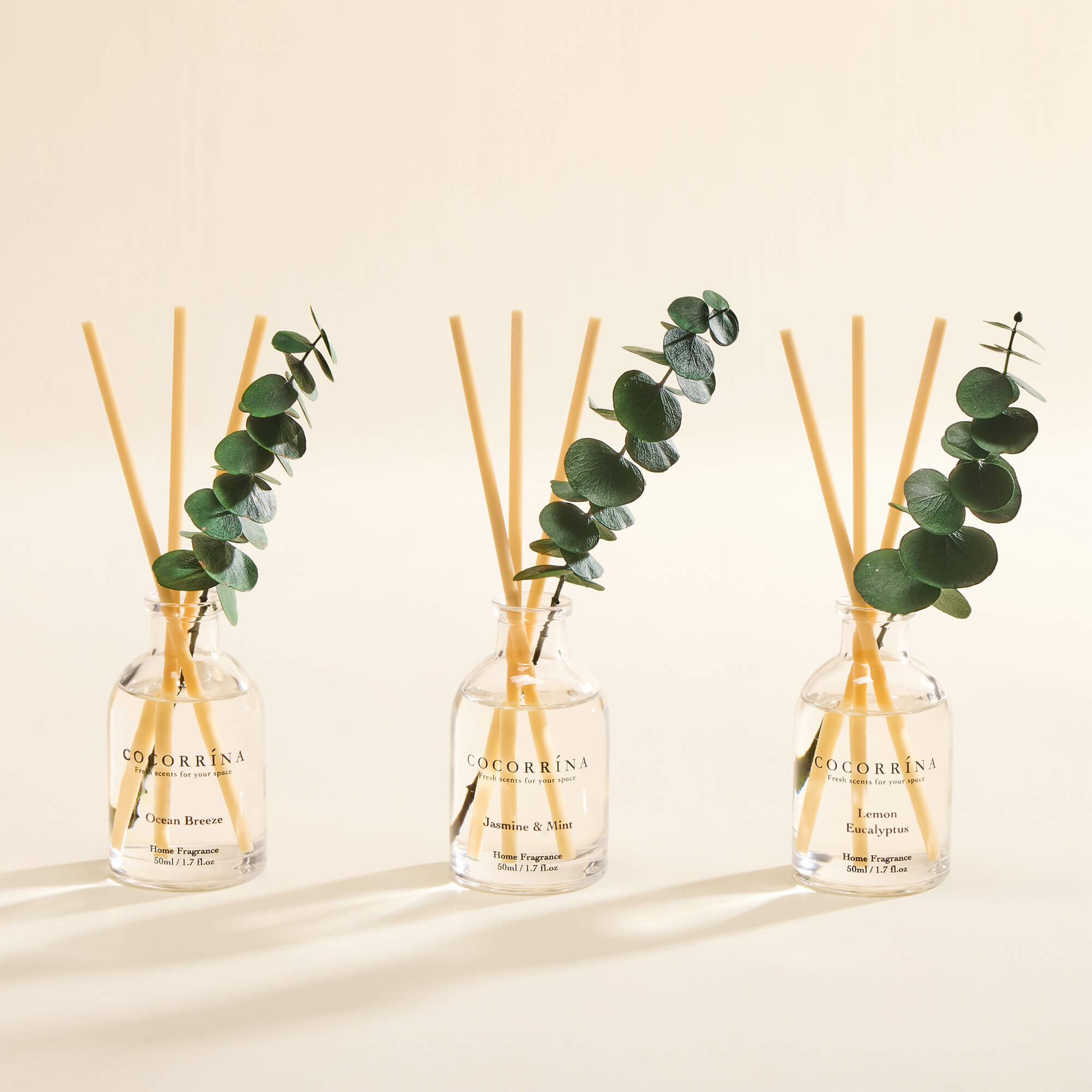 COCORRÍNA Eucalyptus Reed Diffuser Set of 3