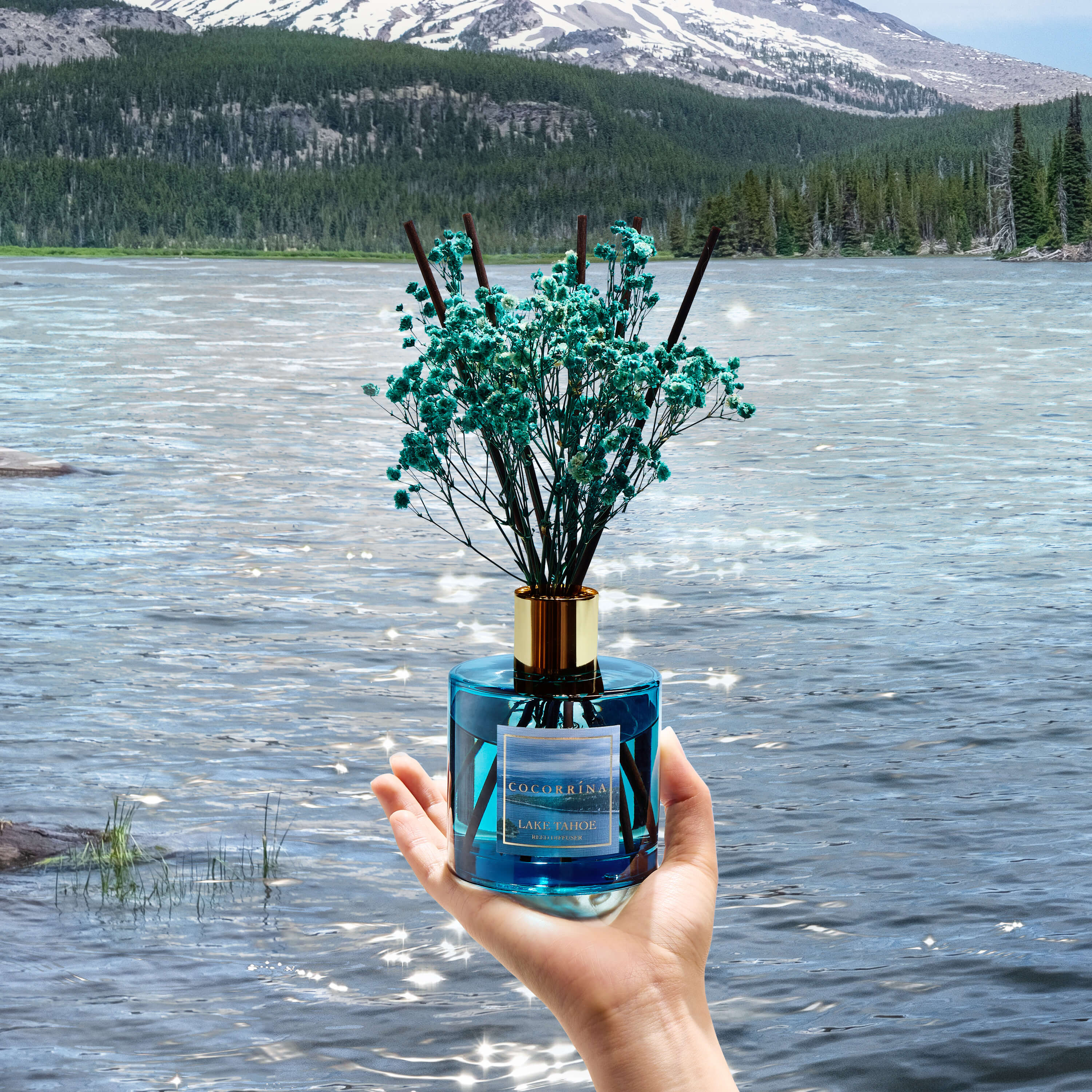 COCORRÍNA The Lake Tahoe Reed Diffuser Set