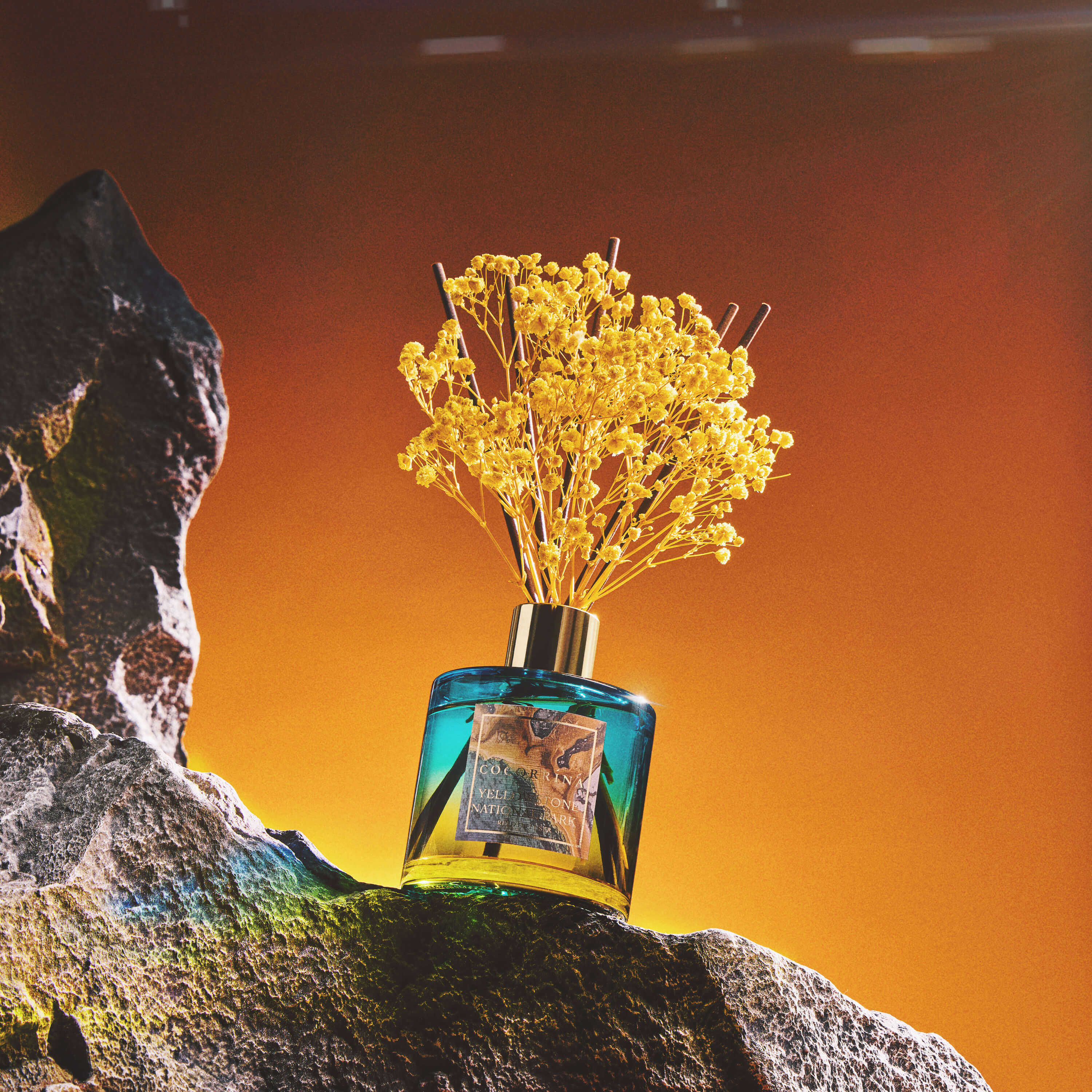 COCORRÍNA The Yellowstone Reed Diffuser Set