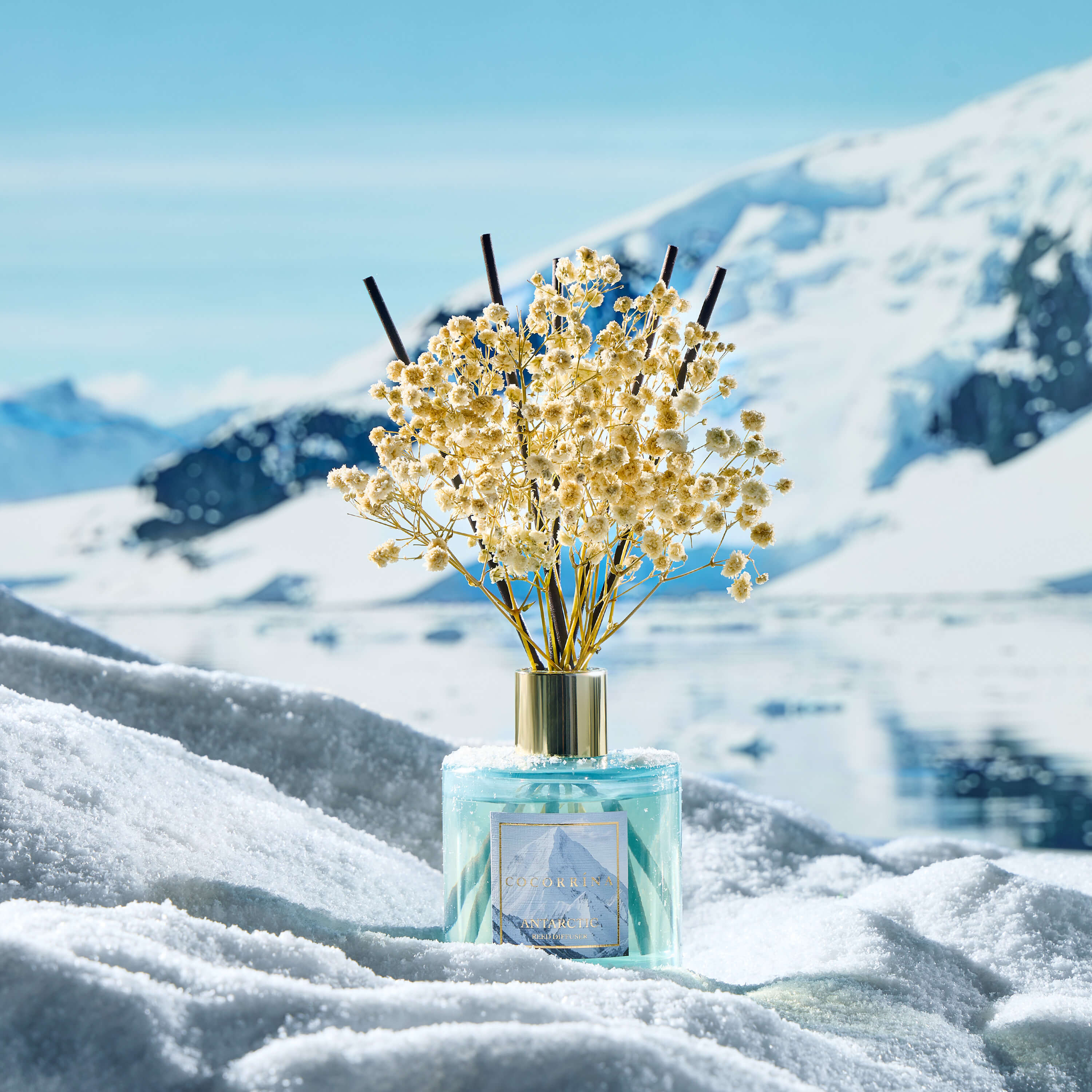 COCORRÍNA Antarctica Reed Diffuser Set