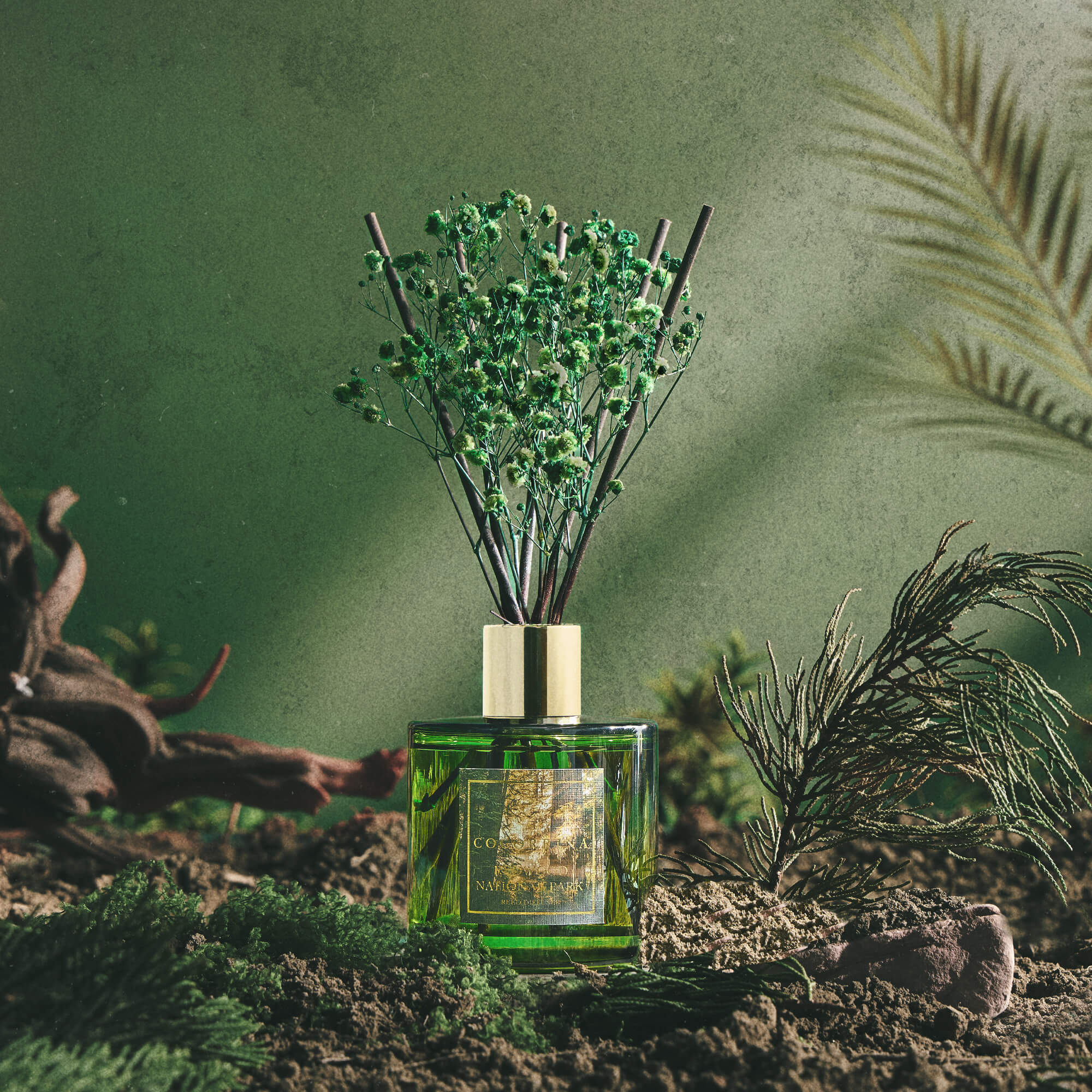 COCORRÍNA The Redwood Reed Diffuser Set