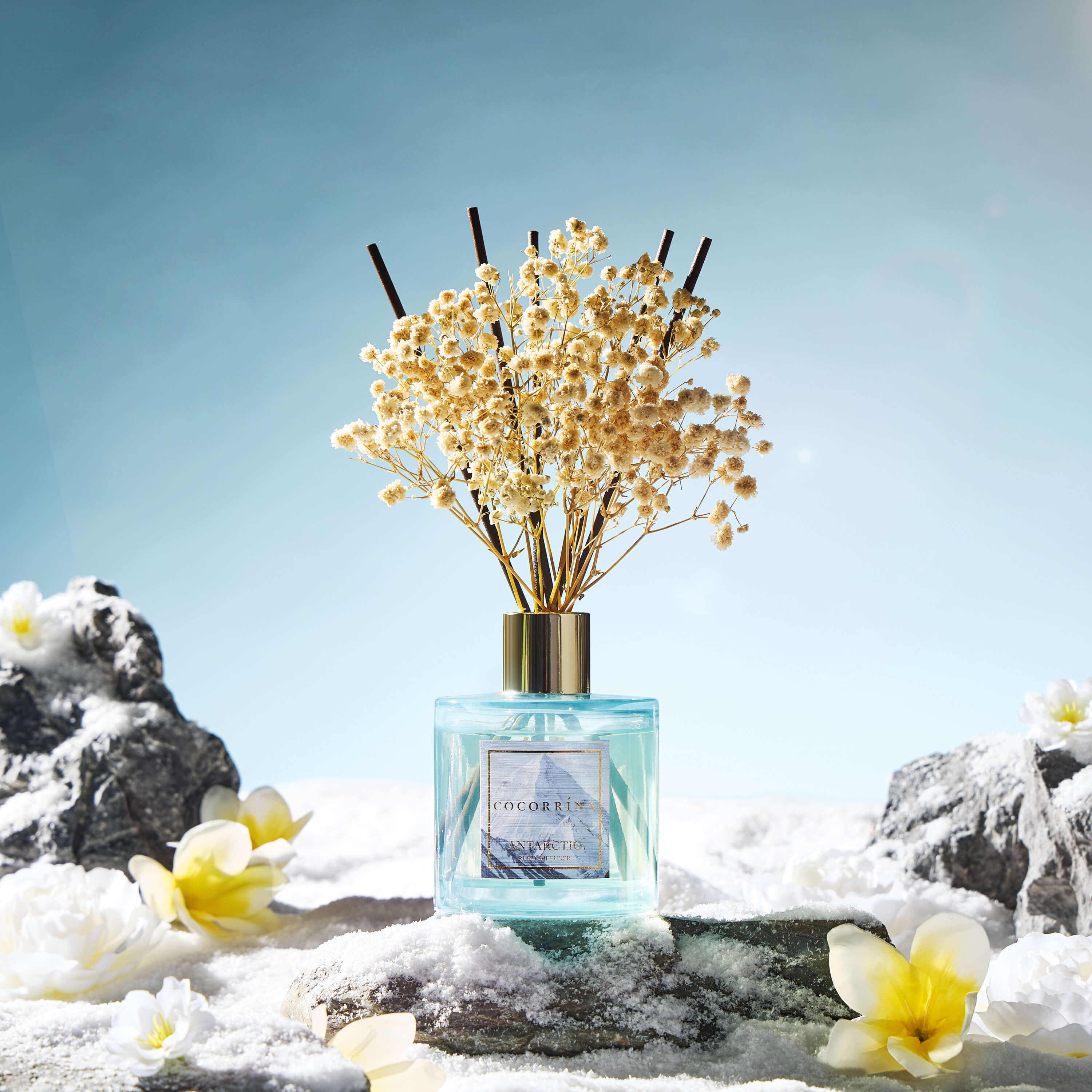 COCORRÍNA Antarctica Reed Diffuser Set
