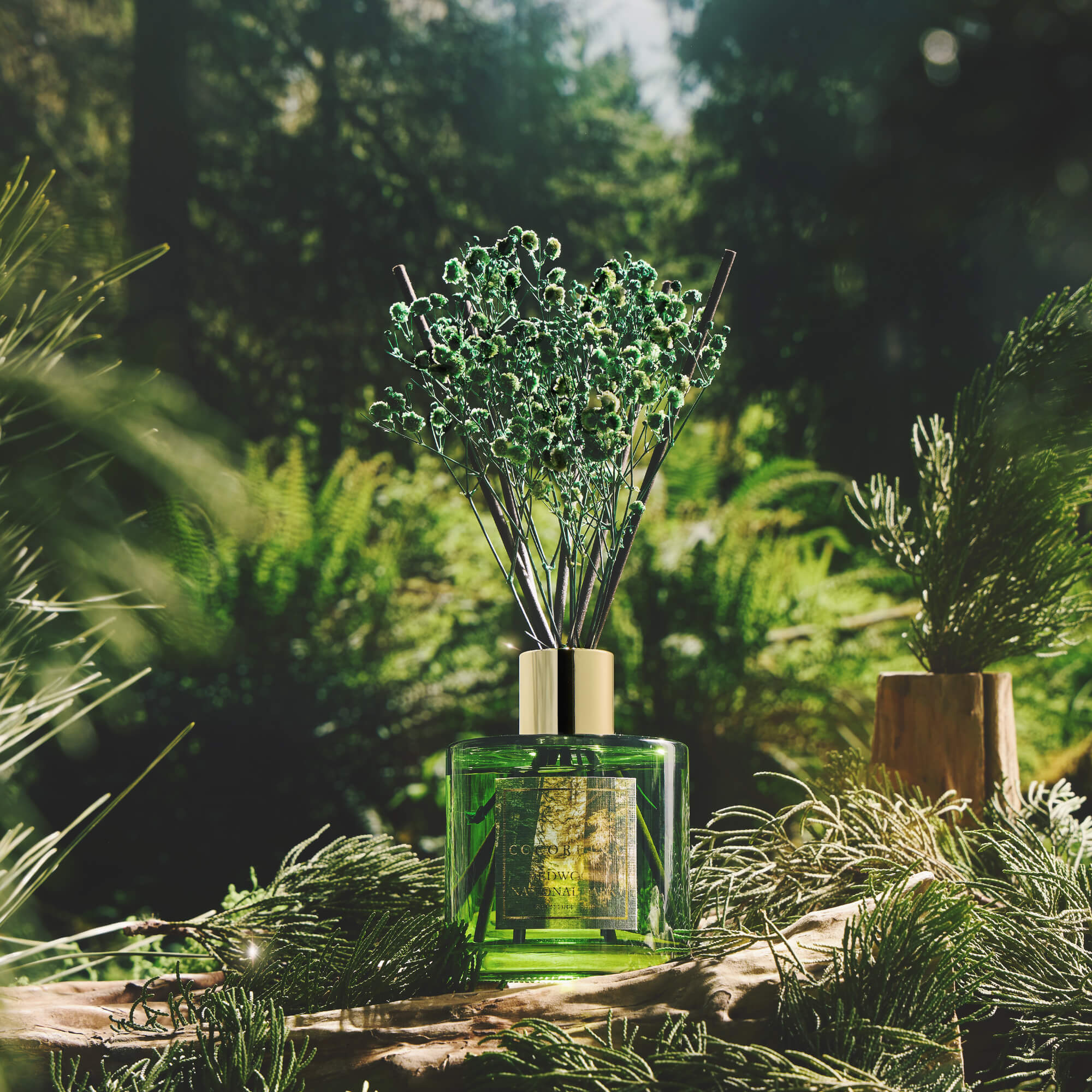 COCORRÍNA The Redwood Reed Diffuser Set