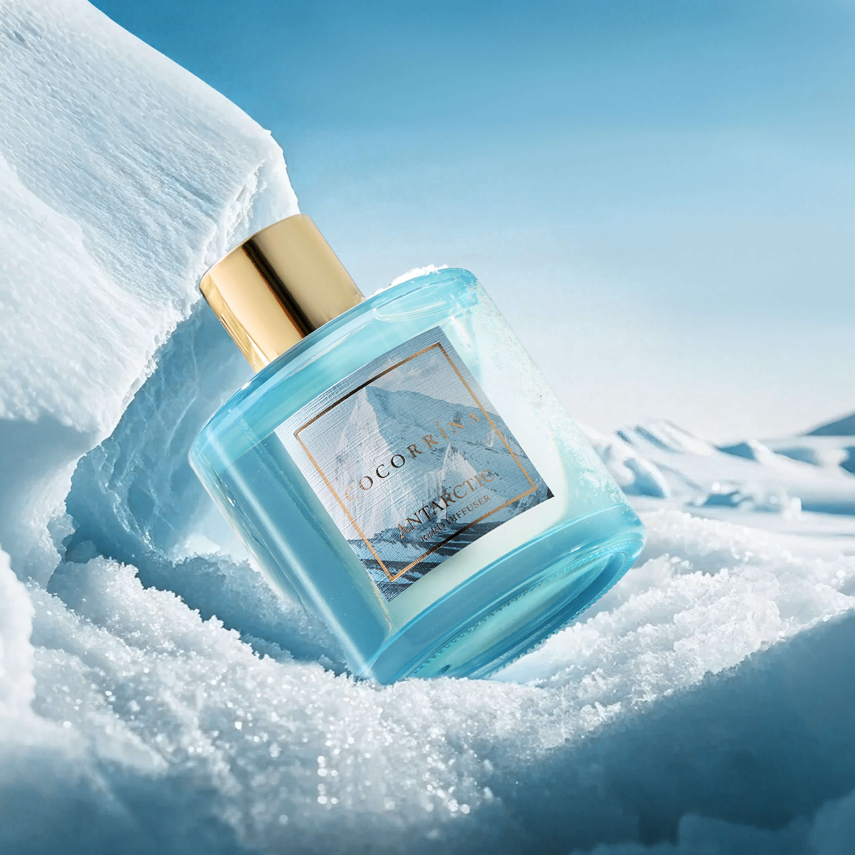 COCORRÍNA Antarctica Reed Diffuser Set