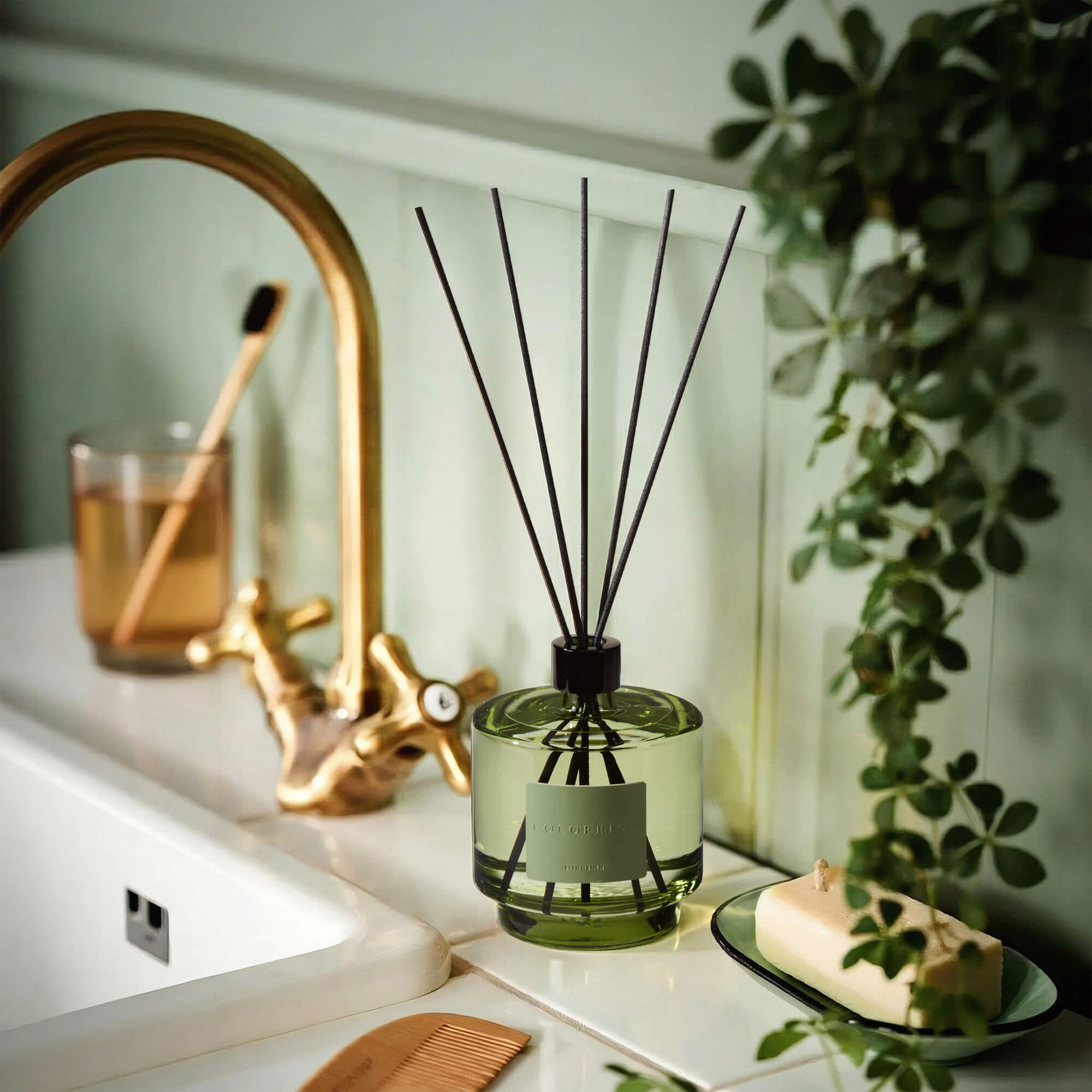 COCORRÍNA Eucalyptus Moss Reed Diffuser Set