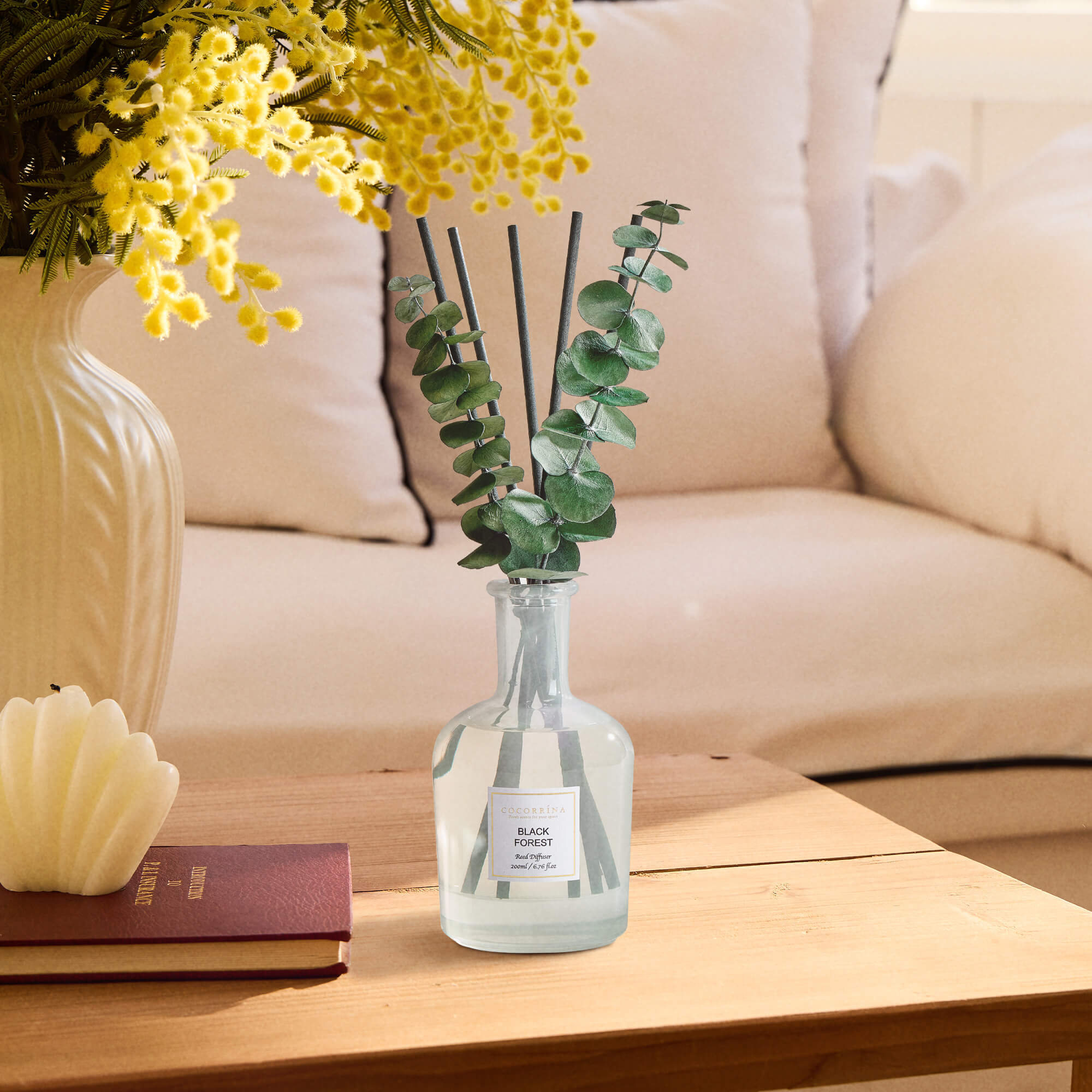 COCORRÍNA Black Forest Reed Diffuser Set