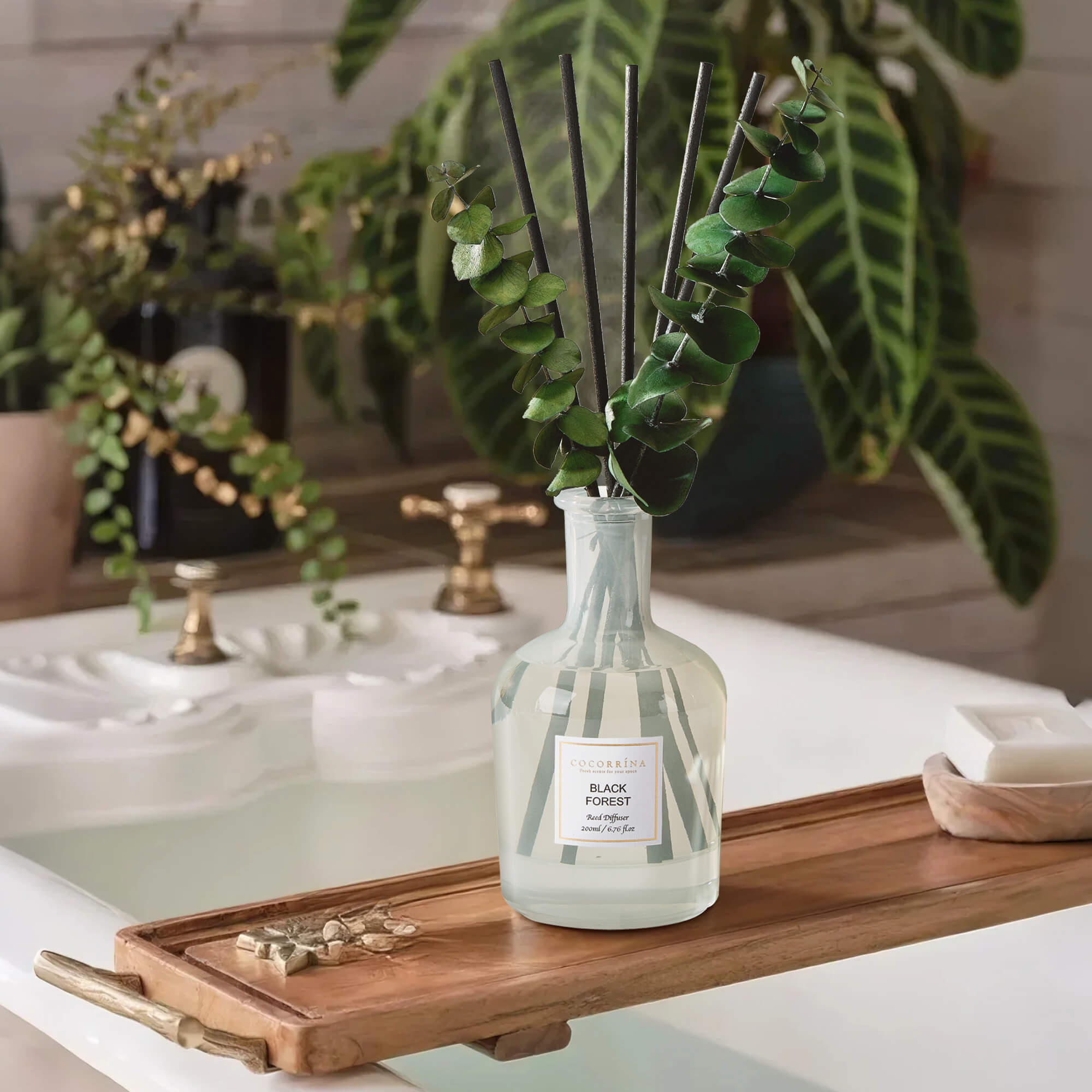 COCORRÍNA Black Forest Reed Diffuser Set