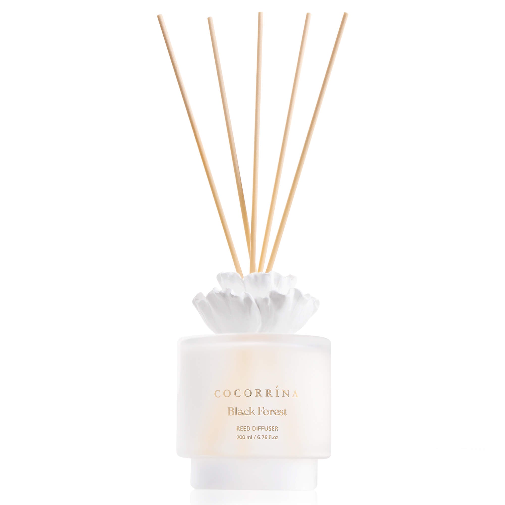 COCORRÍNA Gypsum Flower Black Forest Reed Diffuser