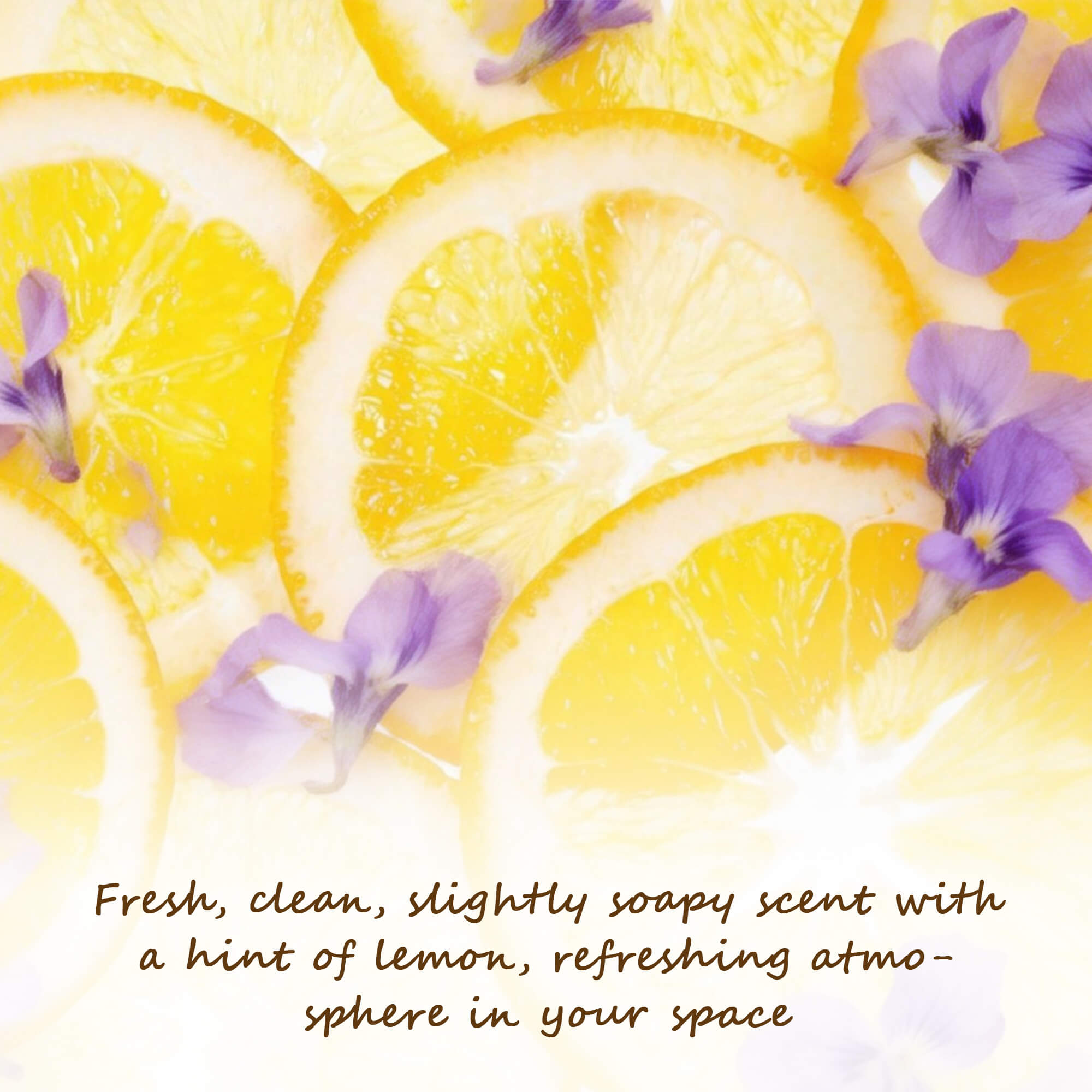 COCORRÍNA Juego de difusores de varillas en botella marrón de lino limpio