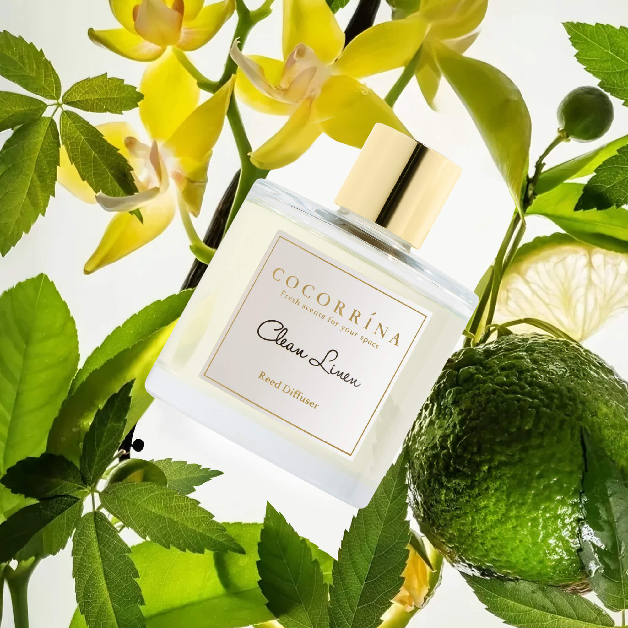 Juego de difusores de varillas de flor de cerezo COCORRÍNA