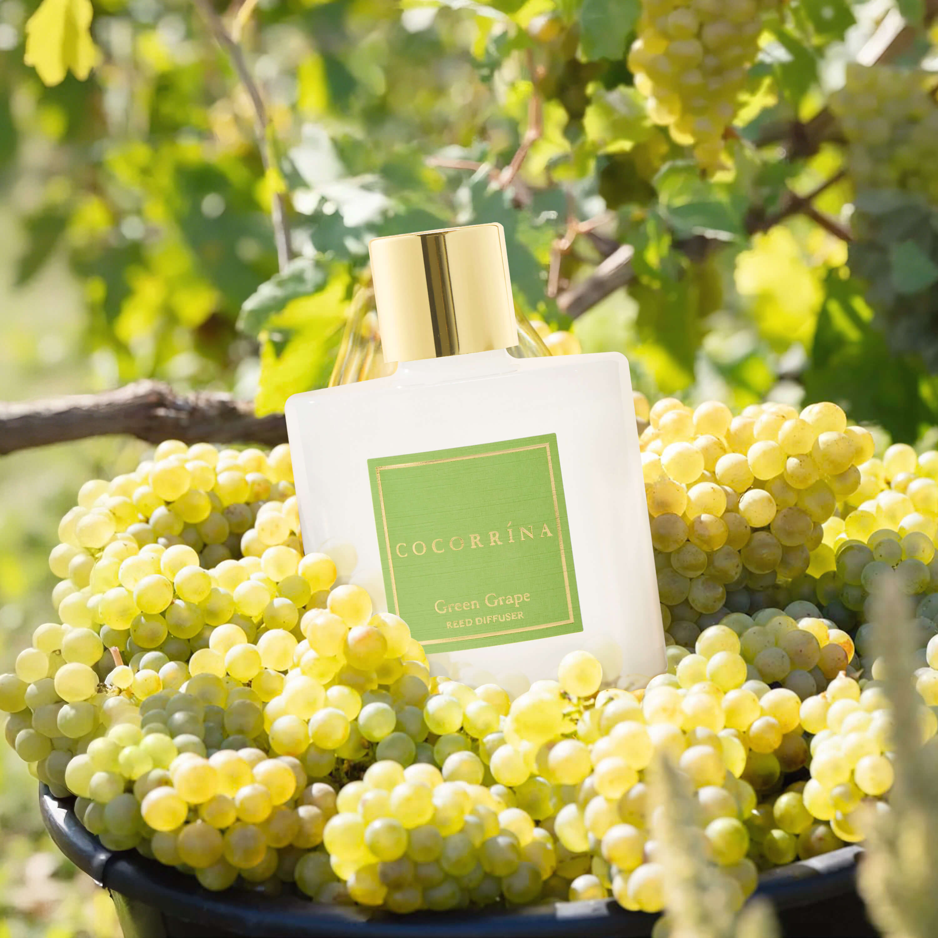 COCORRÍNA Green Grape Reed Diffuser Set