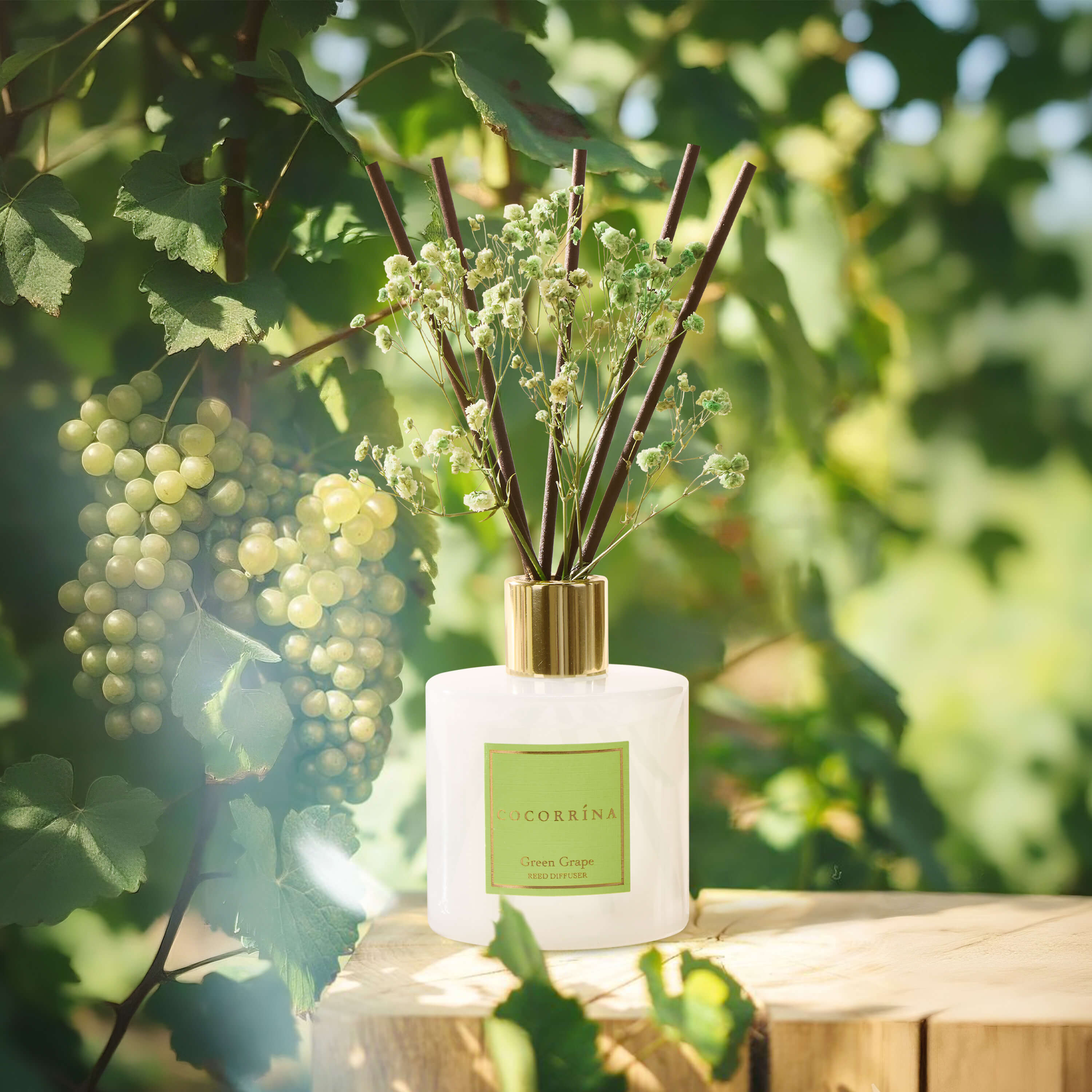 COCORRÍNA Green Grape Reed Diffuser Set