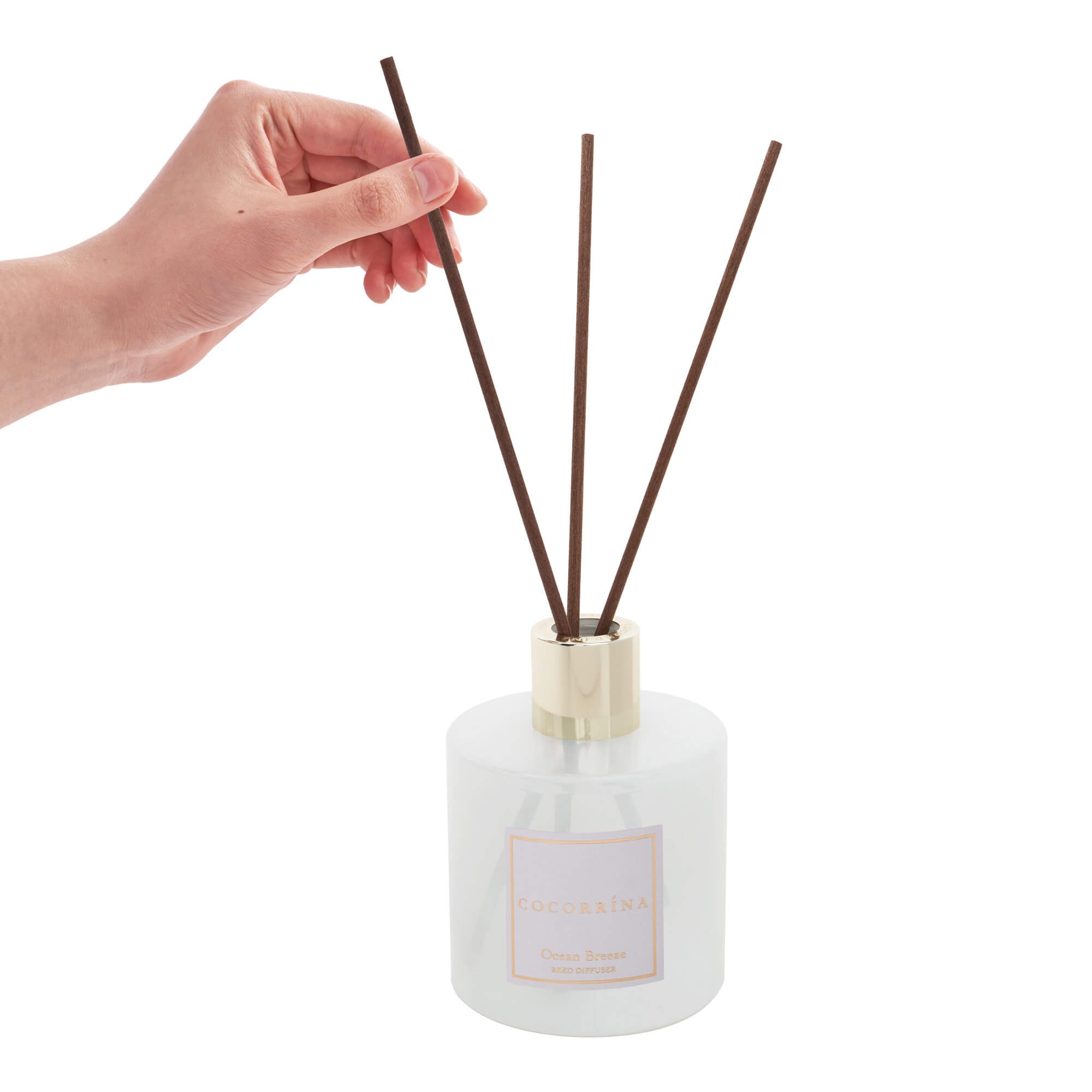 Set diffusore a bastoncini Brezza oceanica COCORRÍNA
