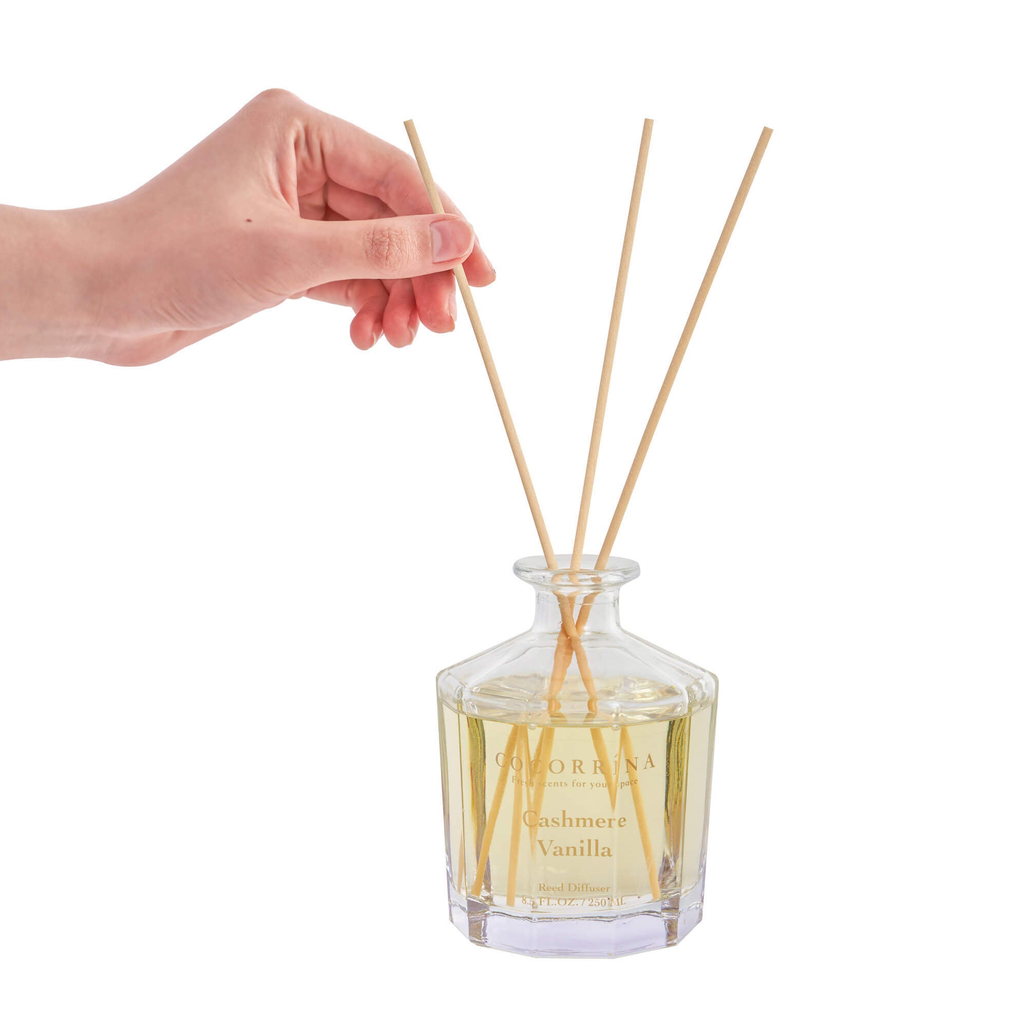 COCORRÍNA Cashmere Vanilla Master Flower Reed Diffuser Set
