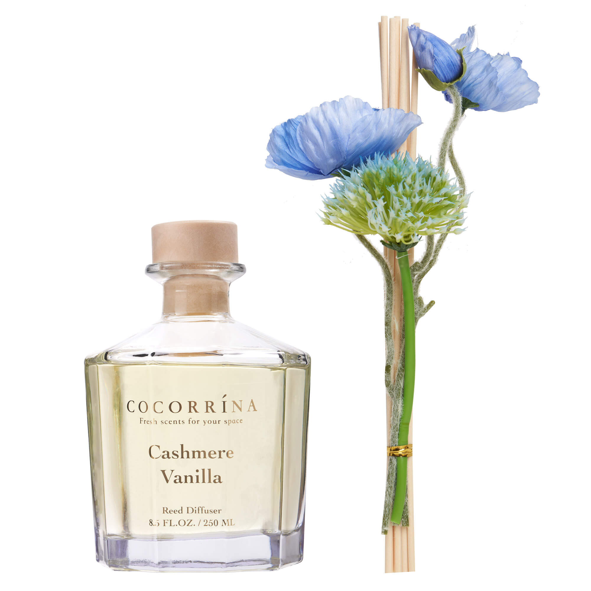 COCORRÍNA Cashmere Vanilla Master Flower Reed Diffuser Set