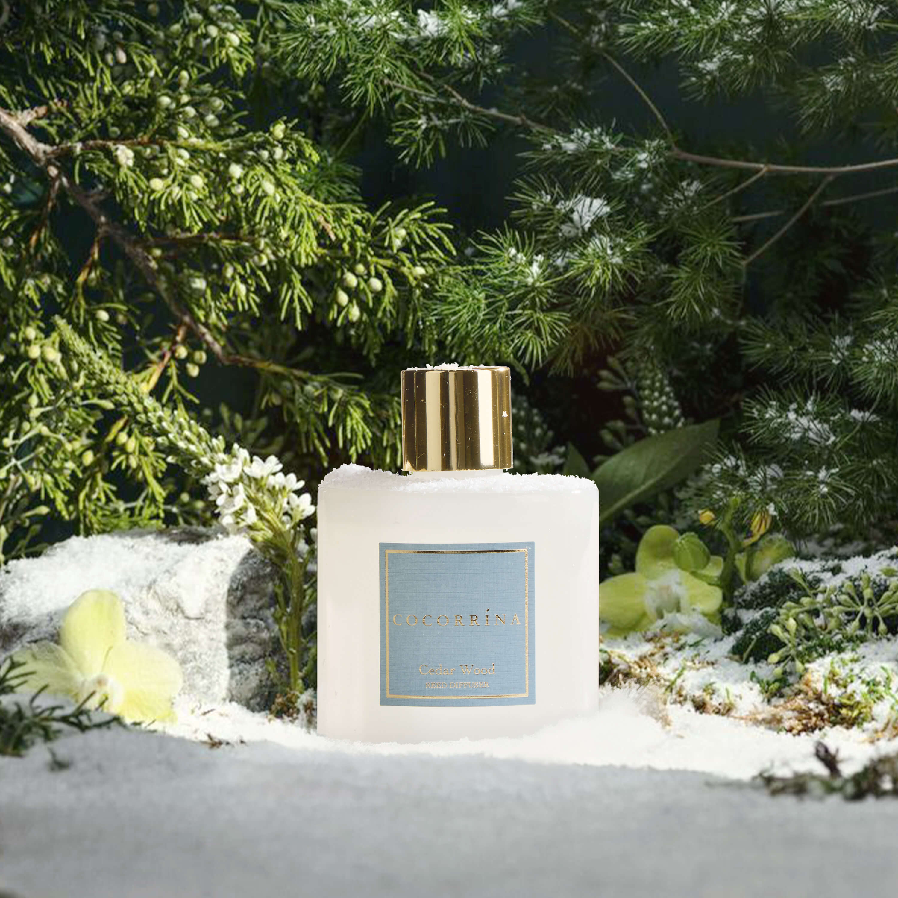 COCORRÍNA Cedar Wood Reed Diffuser Set