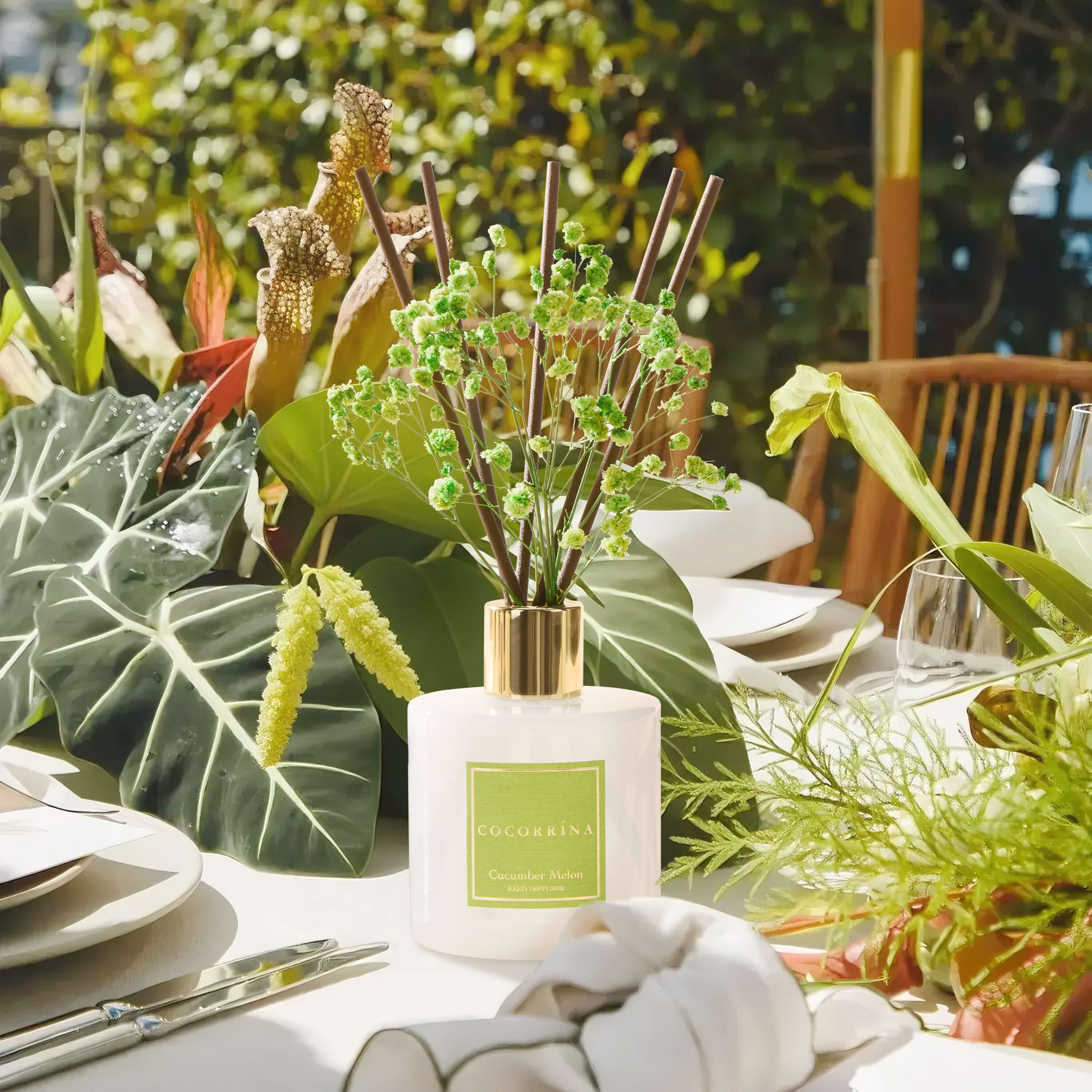COCORRÍNA Cucumber Melon Reed Diffuser Set