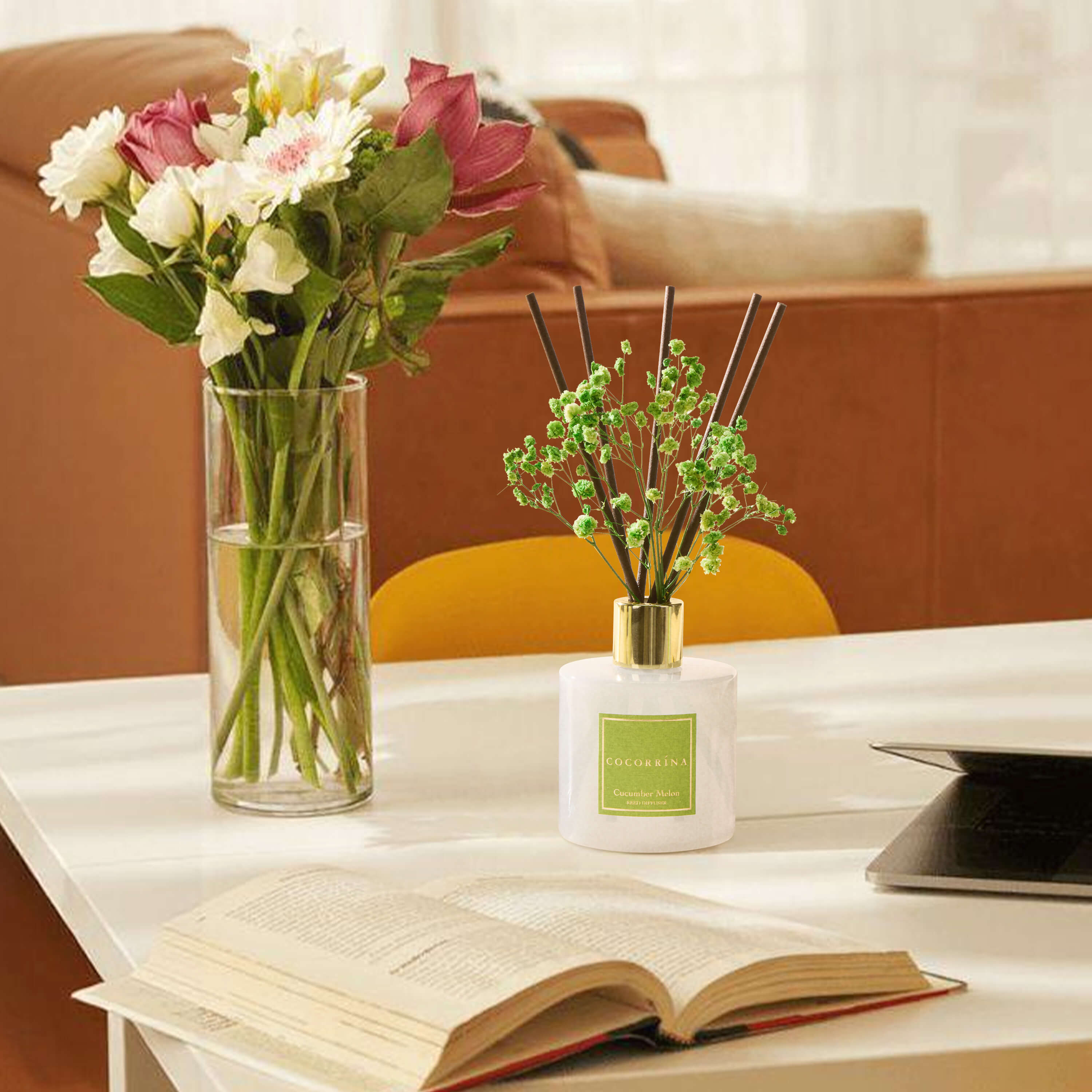 COCORRÍNA Cucumber Melon Reed Diffuser Set