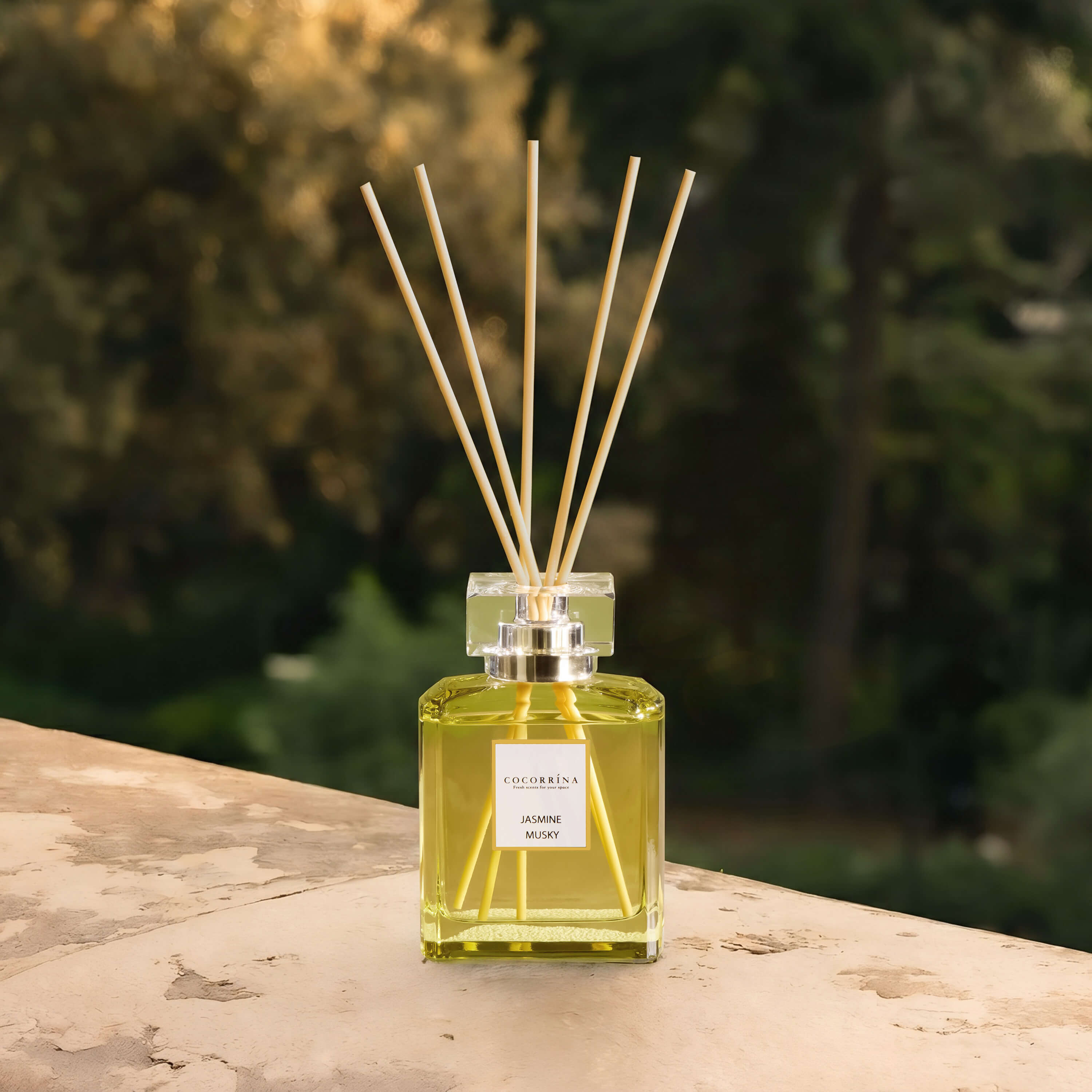 COCORRÍNA Jasmine Musky Perfume Reed Diffuser Set