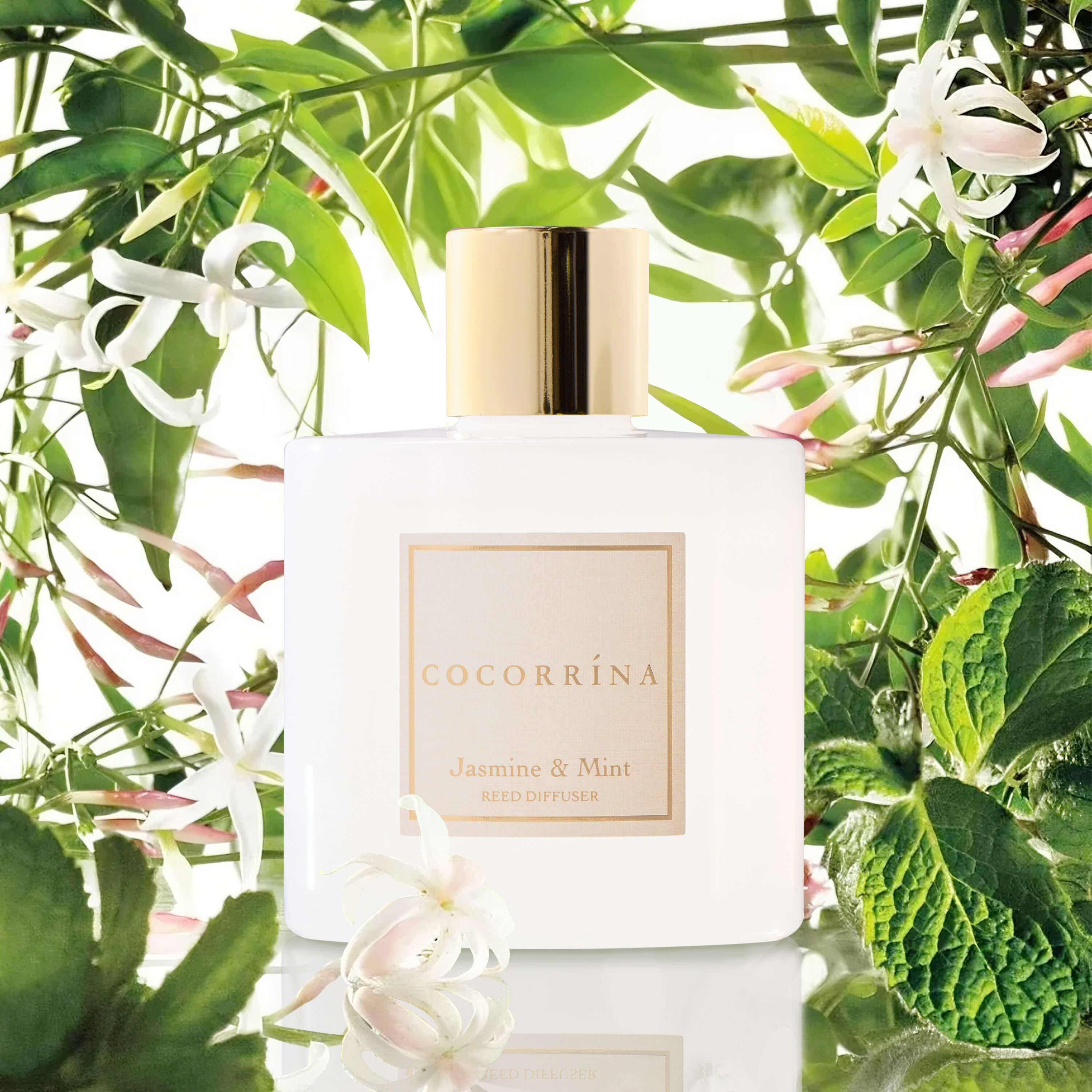 Difusor de varillas de jazmín y menta COCORRÍNA