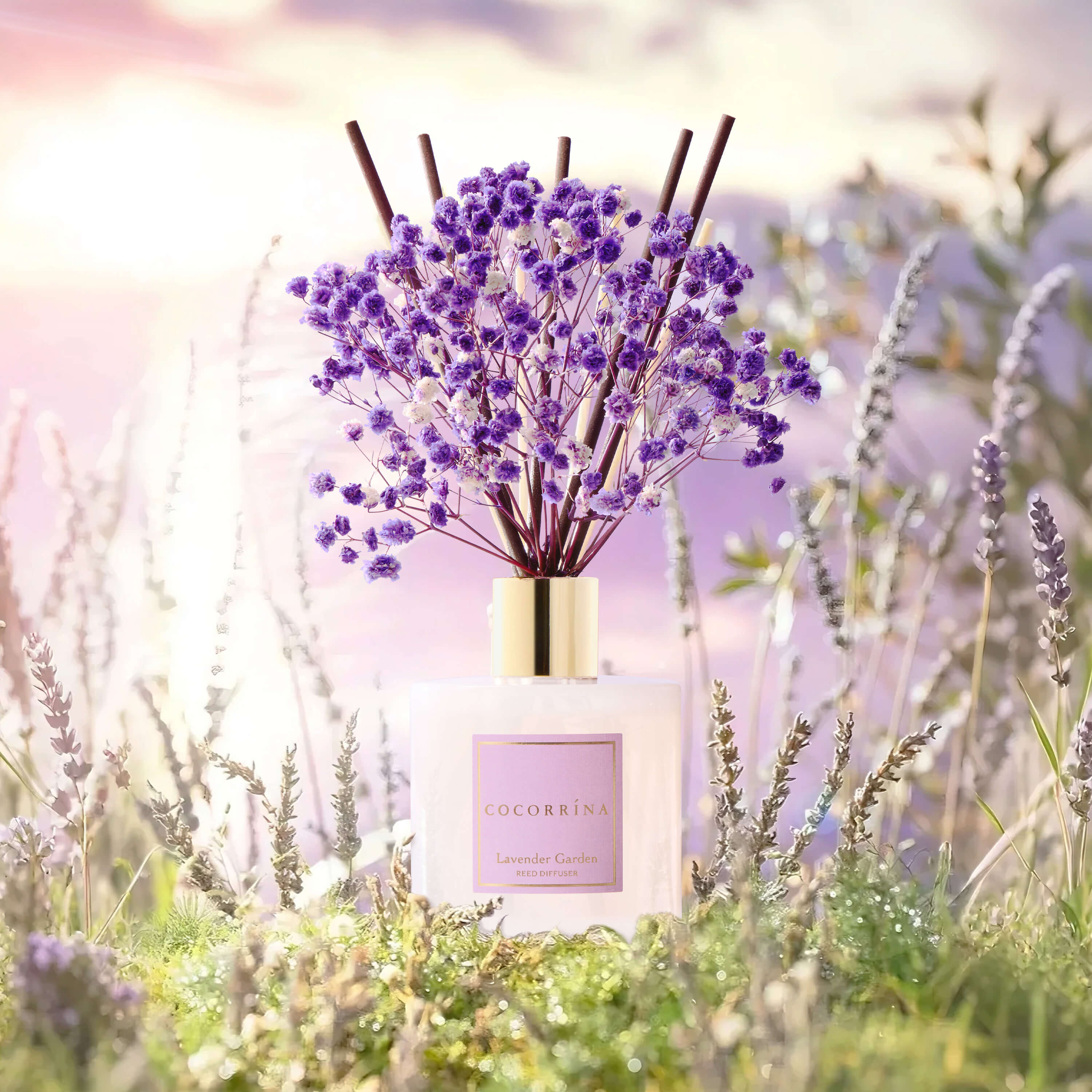 COCORRÍNA Lavender Garden Reed Diffuser Set