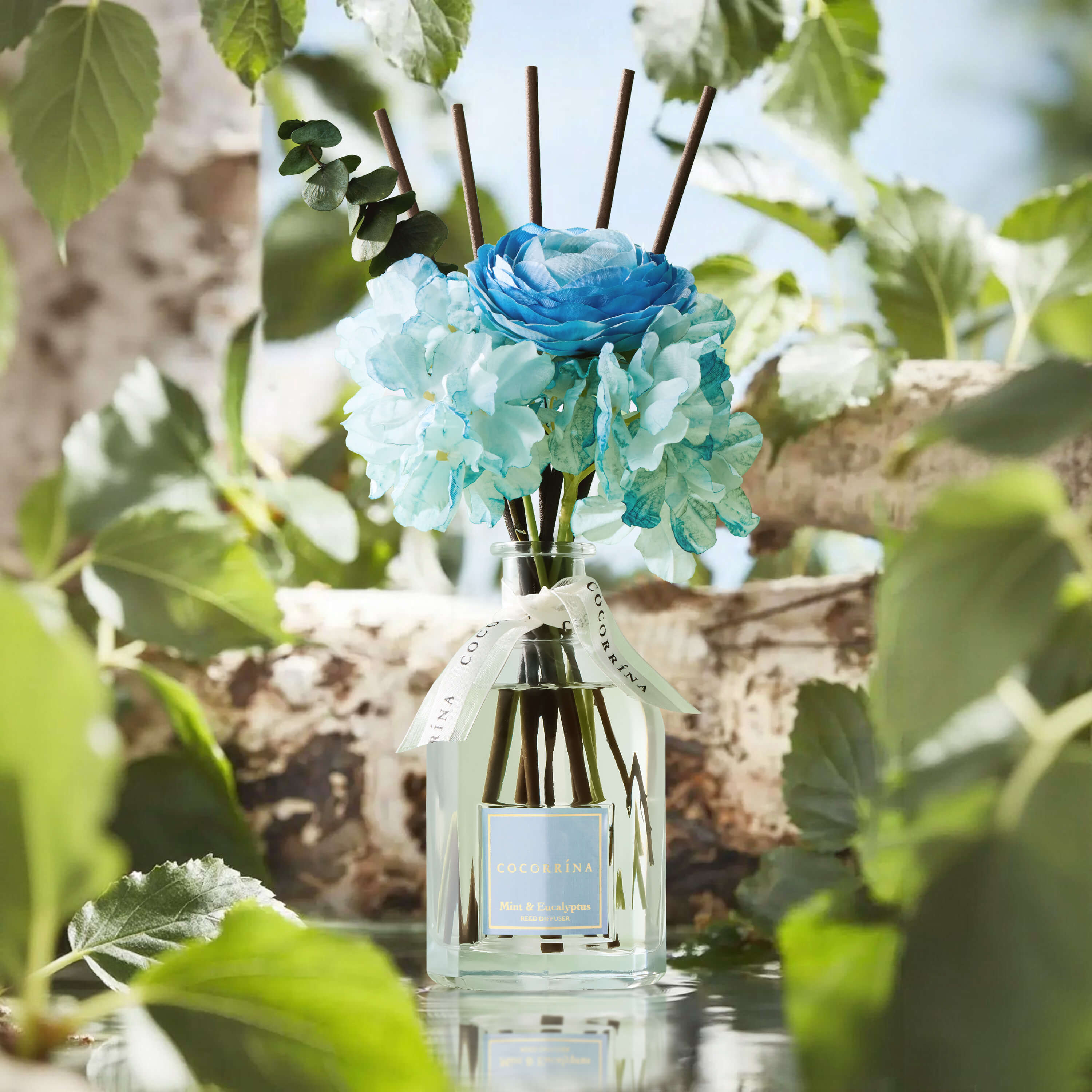 COCORRÍNA Mint & Eucalyptus Portable Gift Reed Diffuser Set