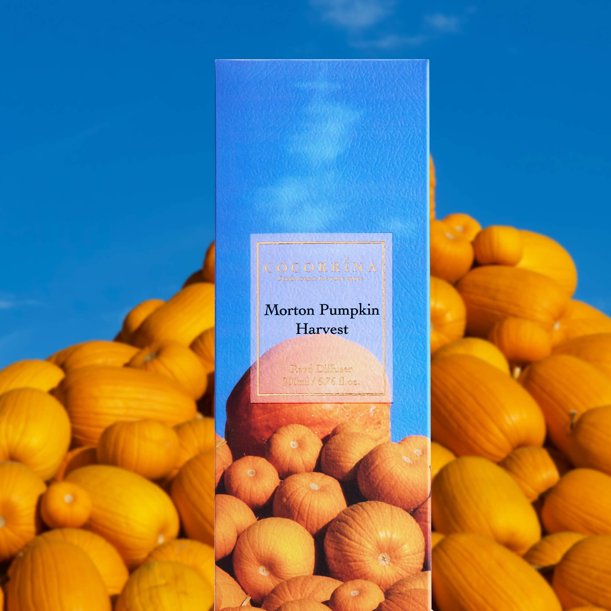 COCORRÍNA Morton Pumpkin Harvest Reed Diffuser Set