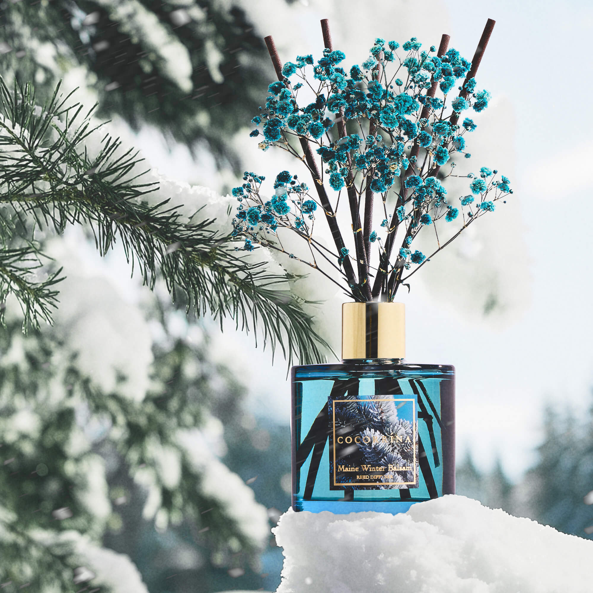 COCORRÍNA Maine Winter Balsam Reed Diffuser Set