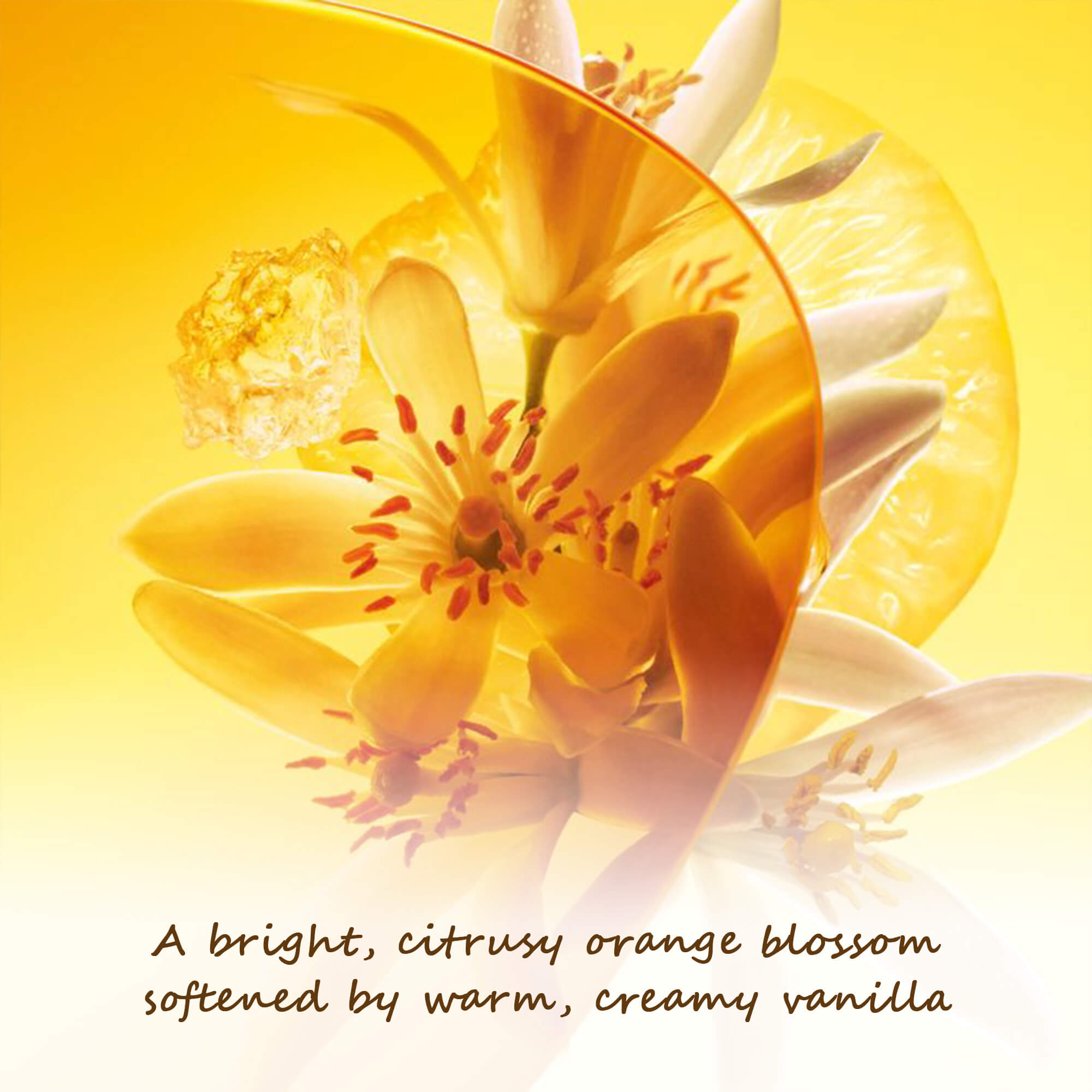 COCORRÍNA Neroli Vanilla Brown Bottle Reed Diffuser Set