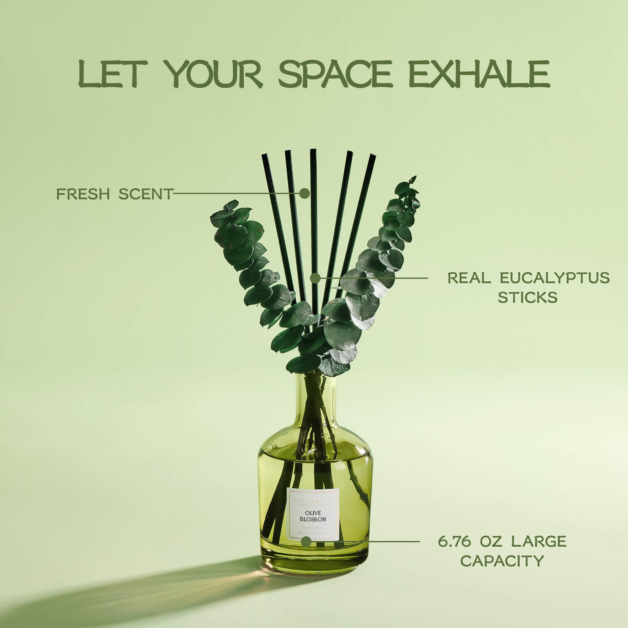 COCORRÍNA Olive Blossom Reed Diffuser Set