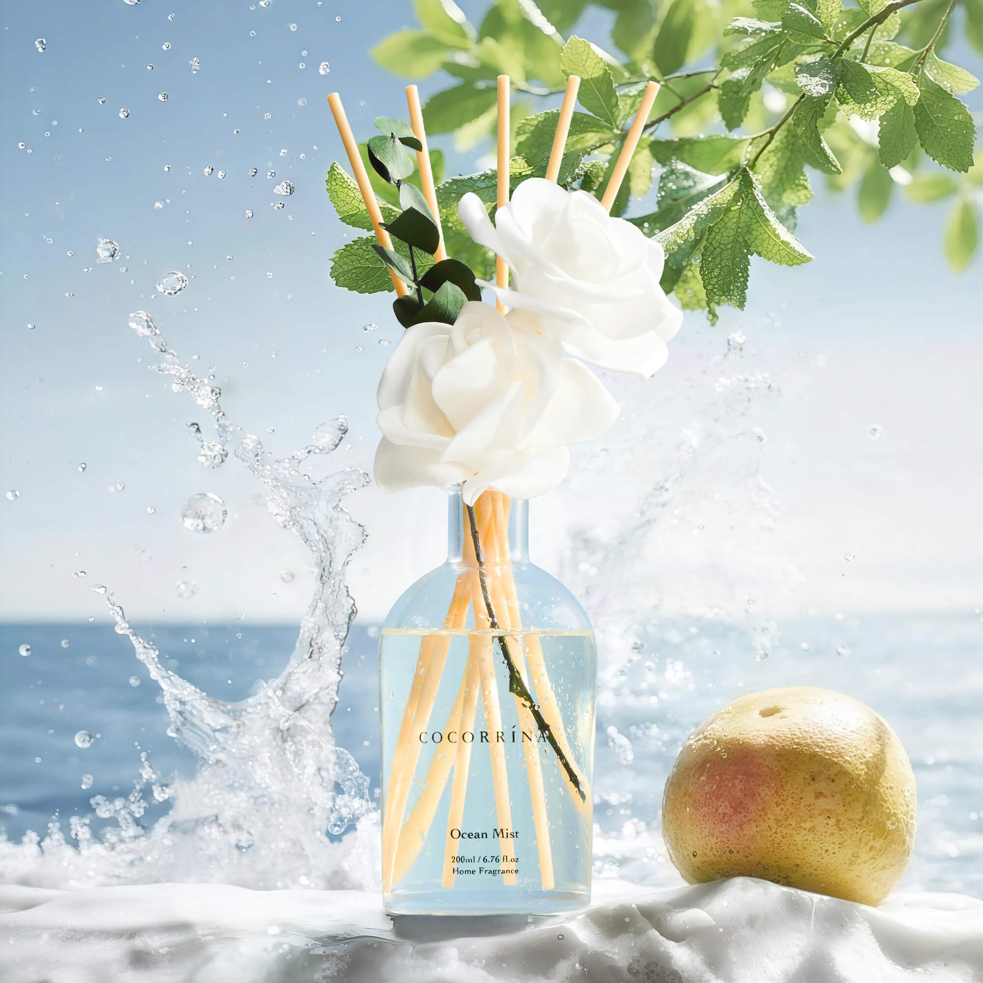COCORRÍNA Ocean Mist White Rose Reed Diffuser