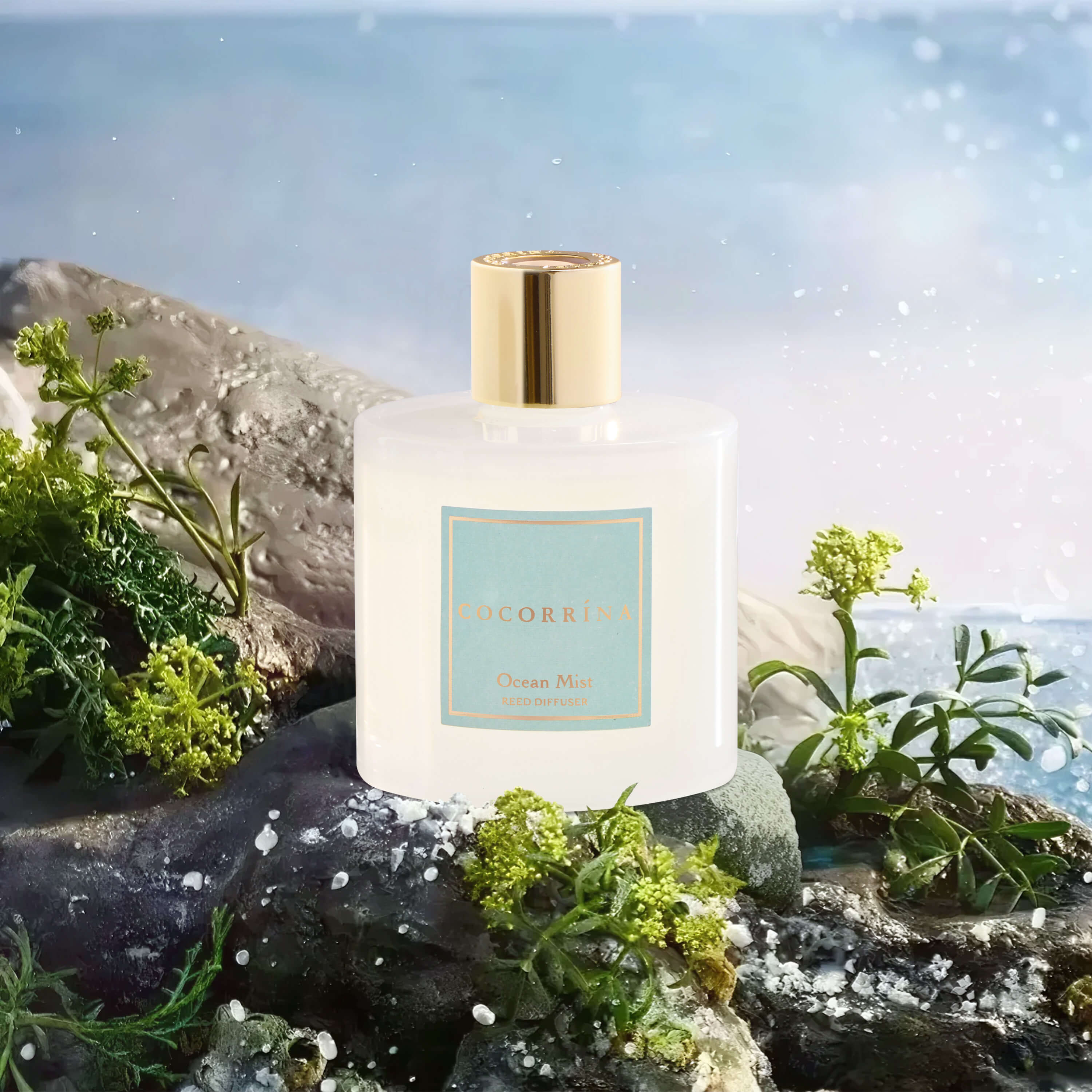 COCORRÍNA Ocean Mist Reed Diffuser Set