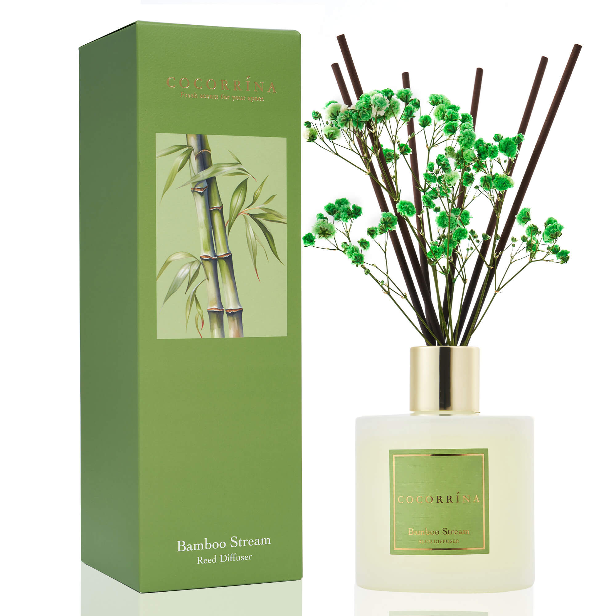 COCORRÍNA Bamboo Stream Reed Diffuser Set