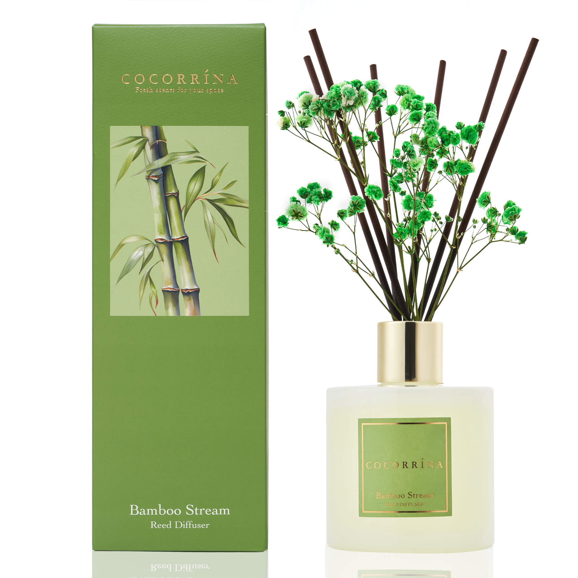 COCORRÍNA Bamboo Stream Reed Diffuser Set