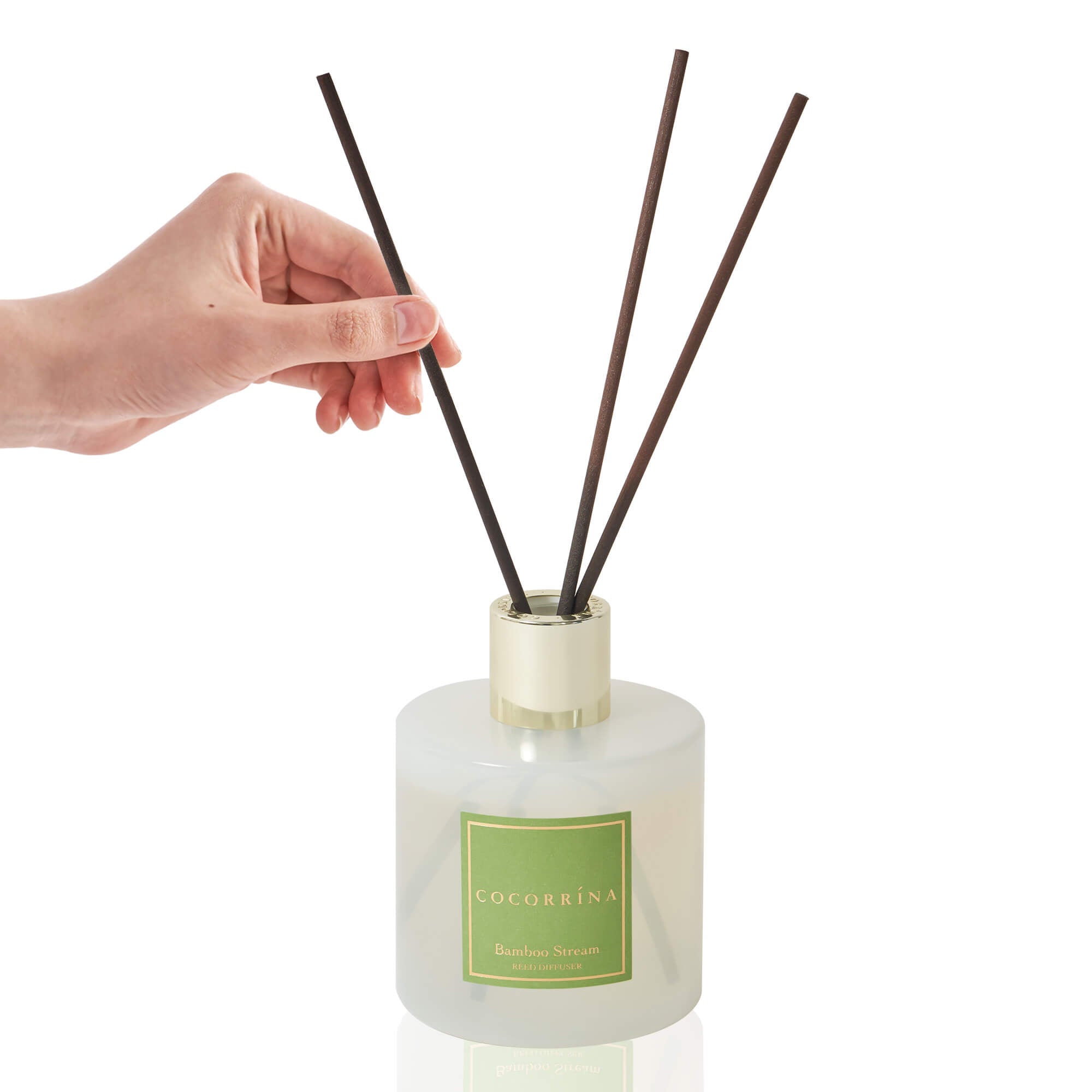 COCORRÍNA Bamboo Stream Reed Diffuser Set