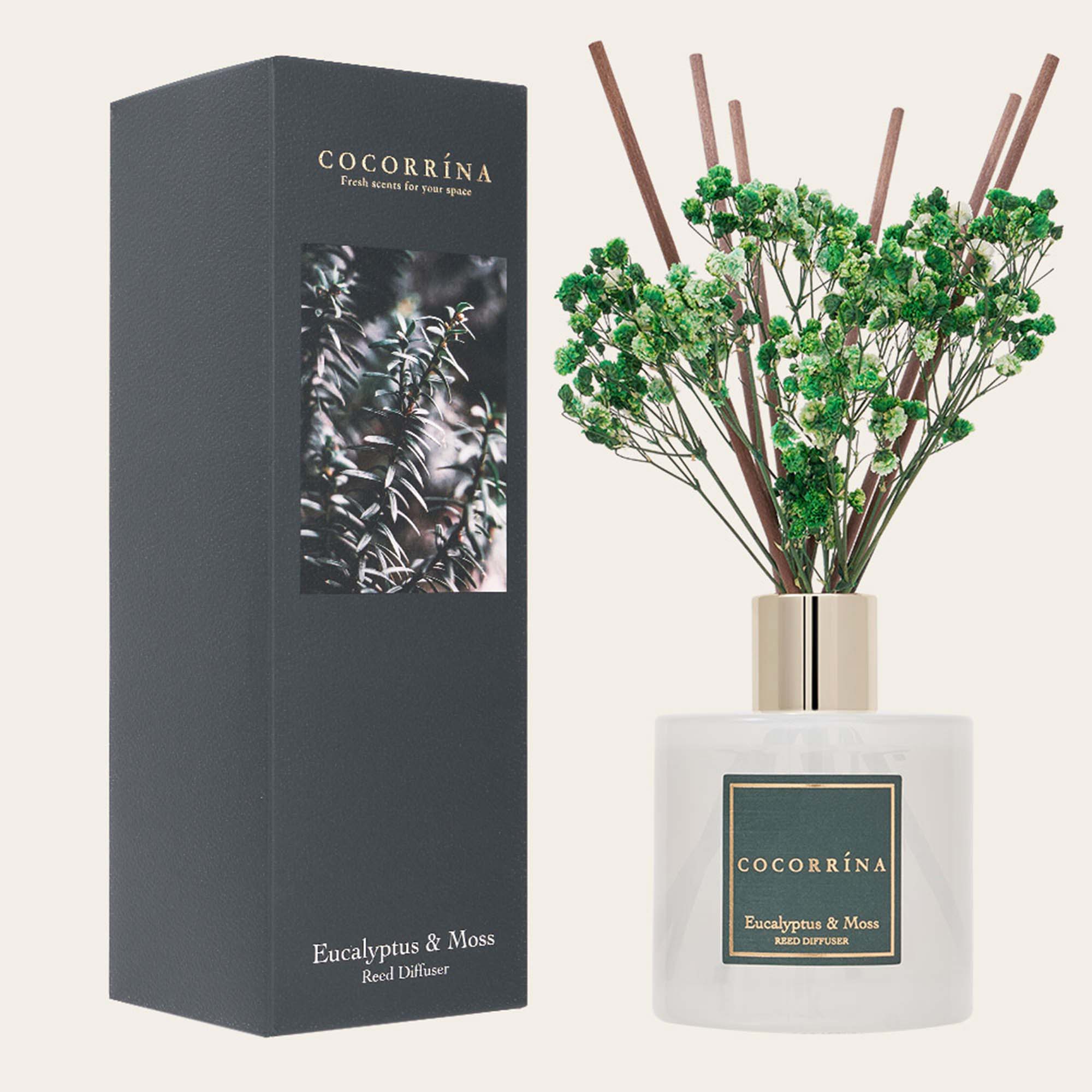 COCORRÍNA Eucalyptus Moss Reed Diffuser Set