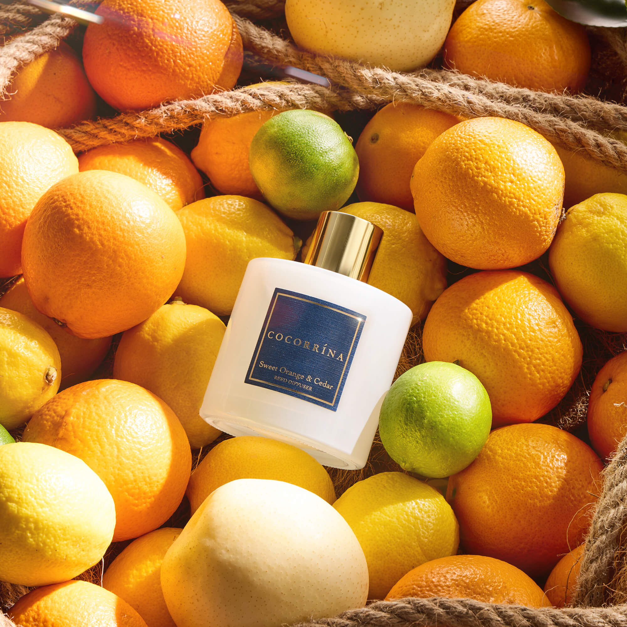 Difusor de varillas de cedro y naranja dulce COCORRÍNA