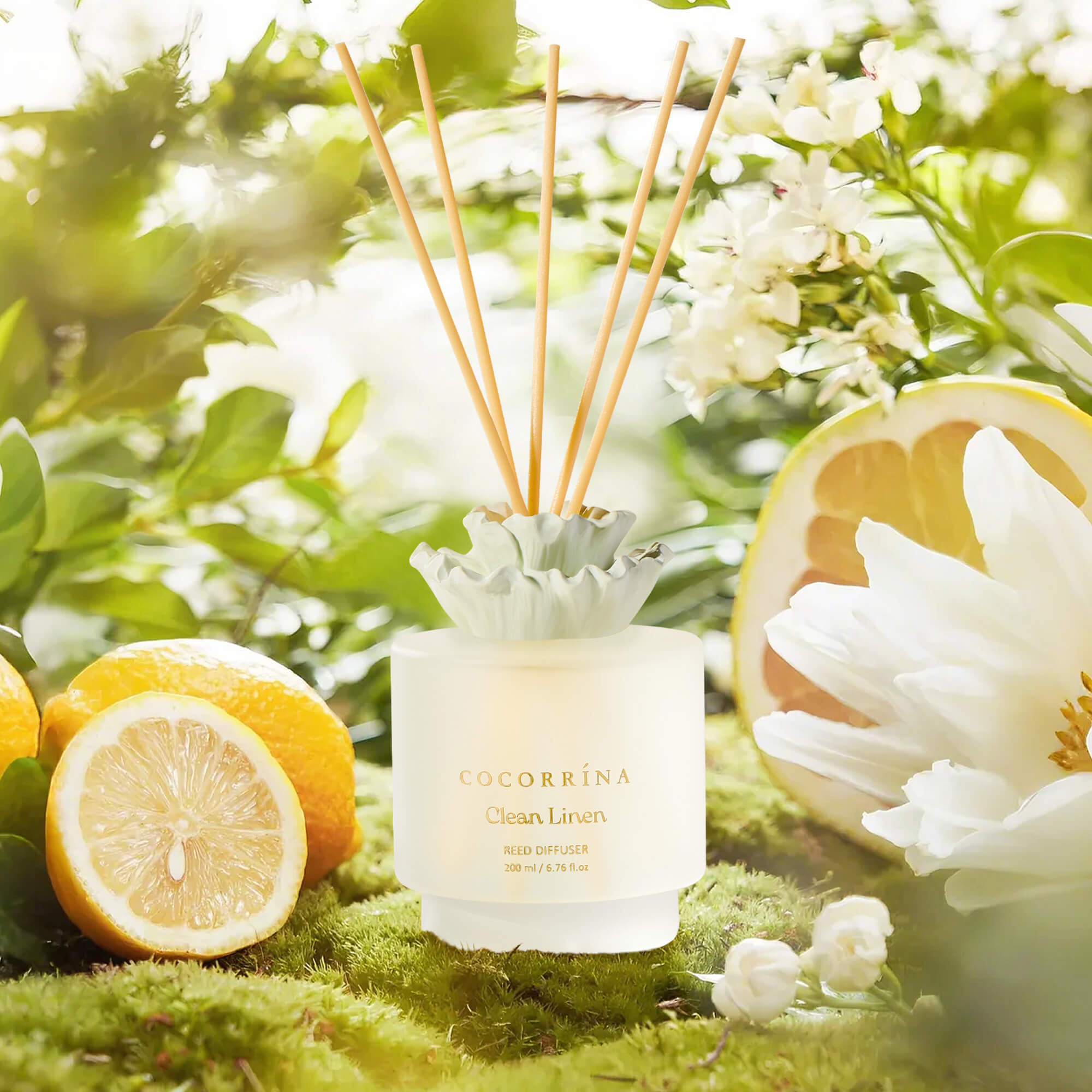 COCORRÍNA Gypsum Flower Clean Linen Reed Diffuser